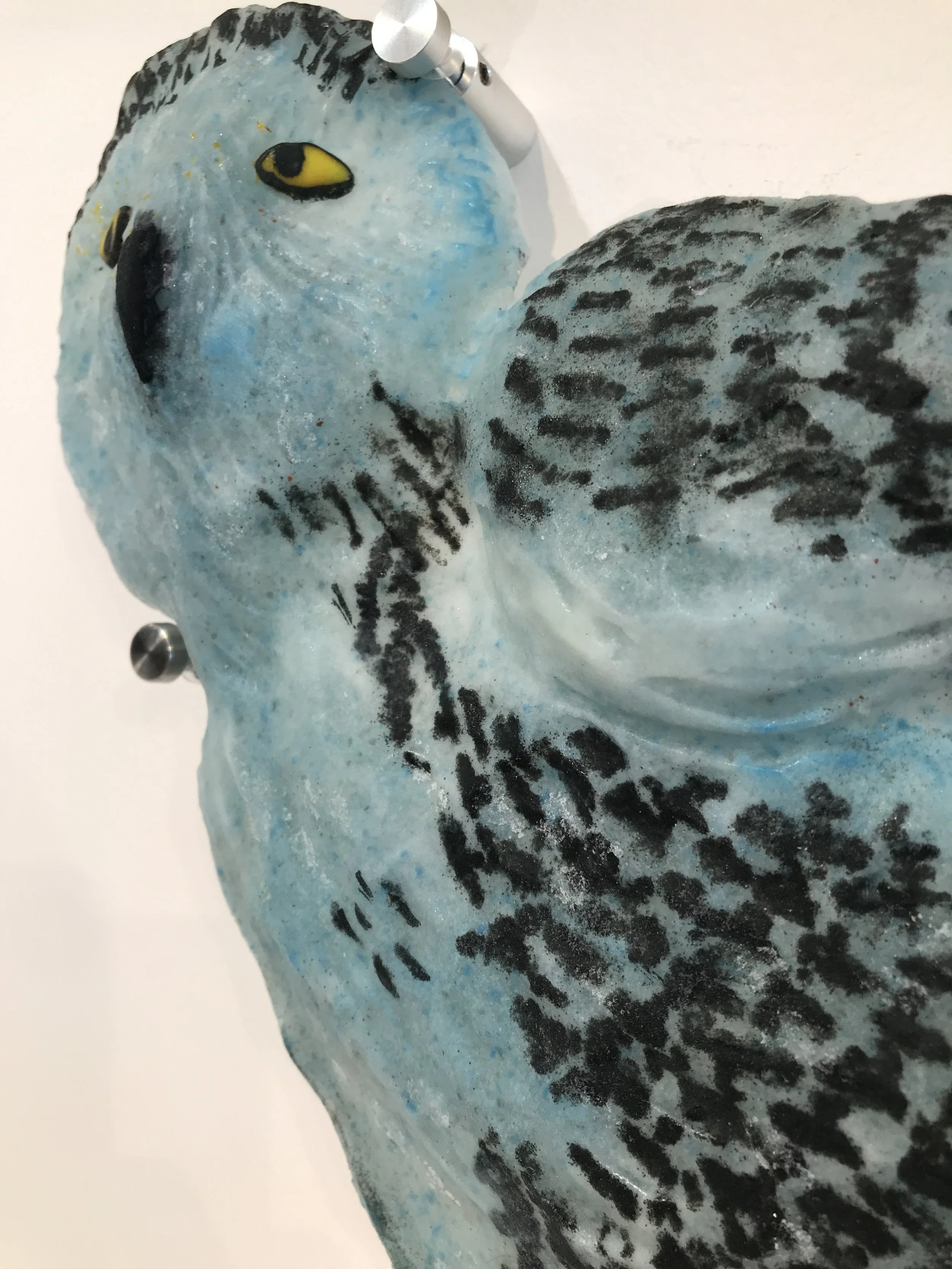 snowy in blue2.JPG