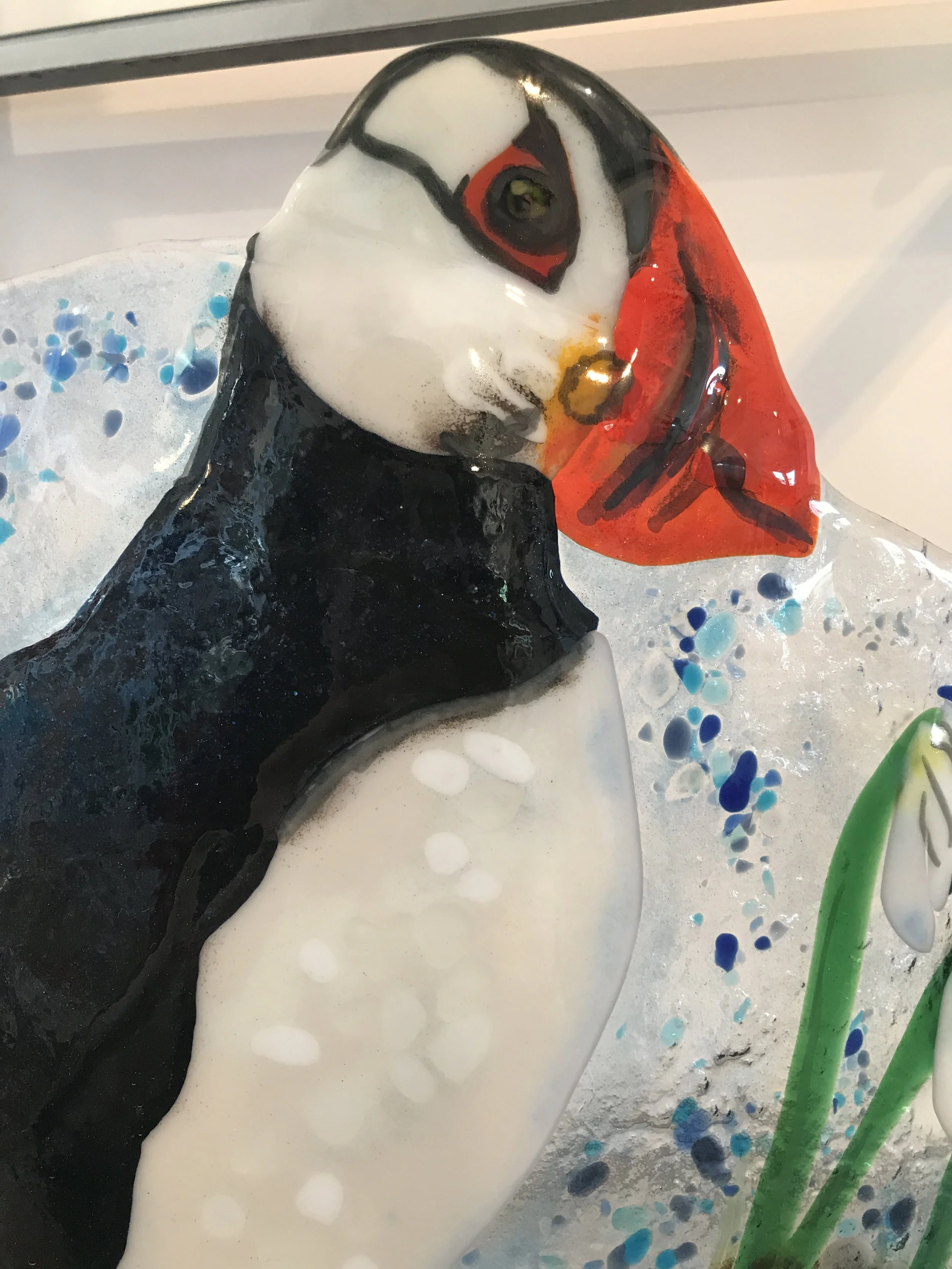 Puffin in the Cotton Grass3.JPG