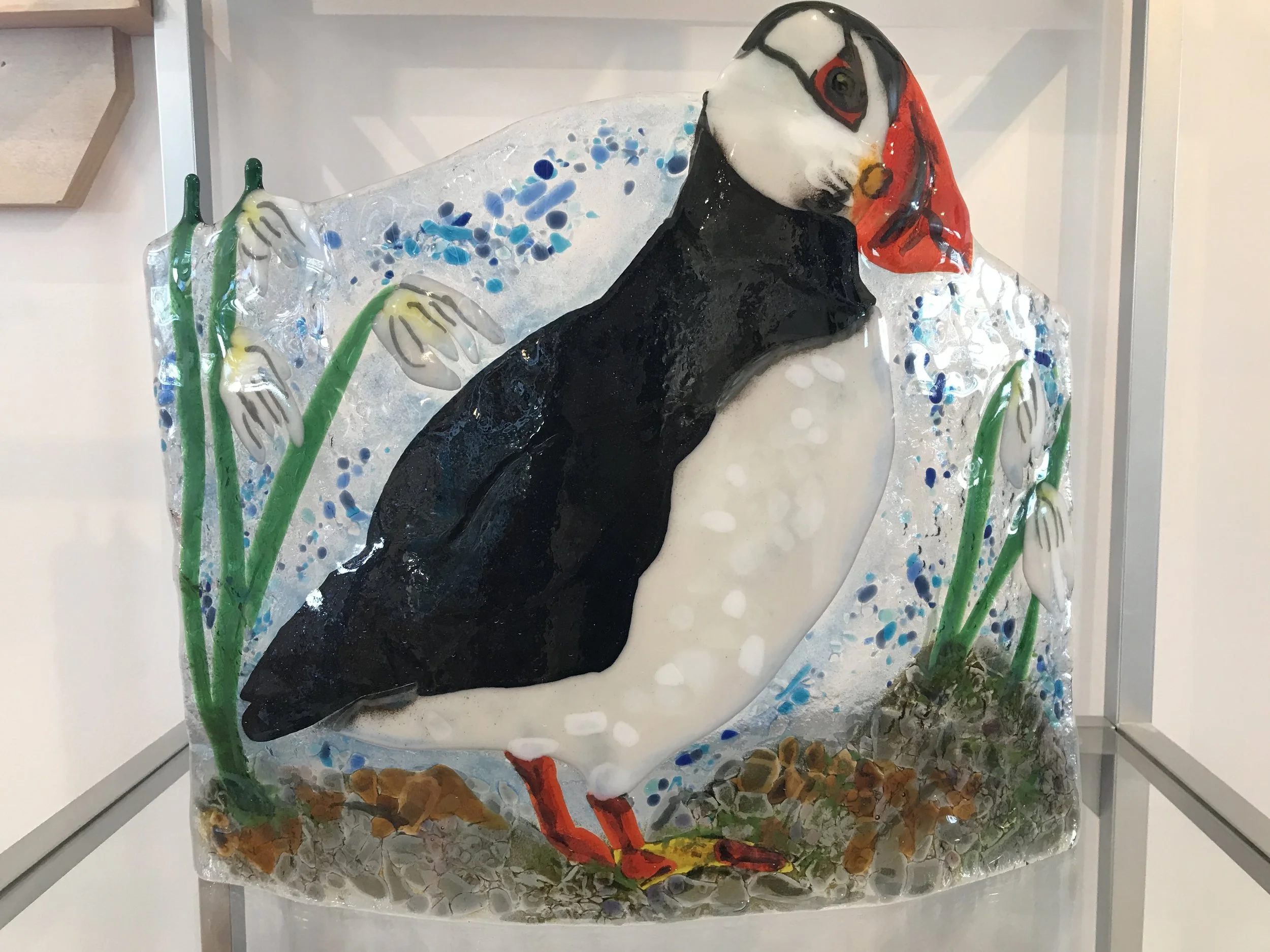 Puffin in the Cotton Grass.JPG