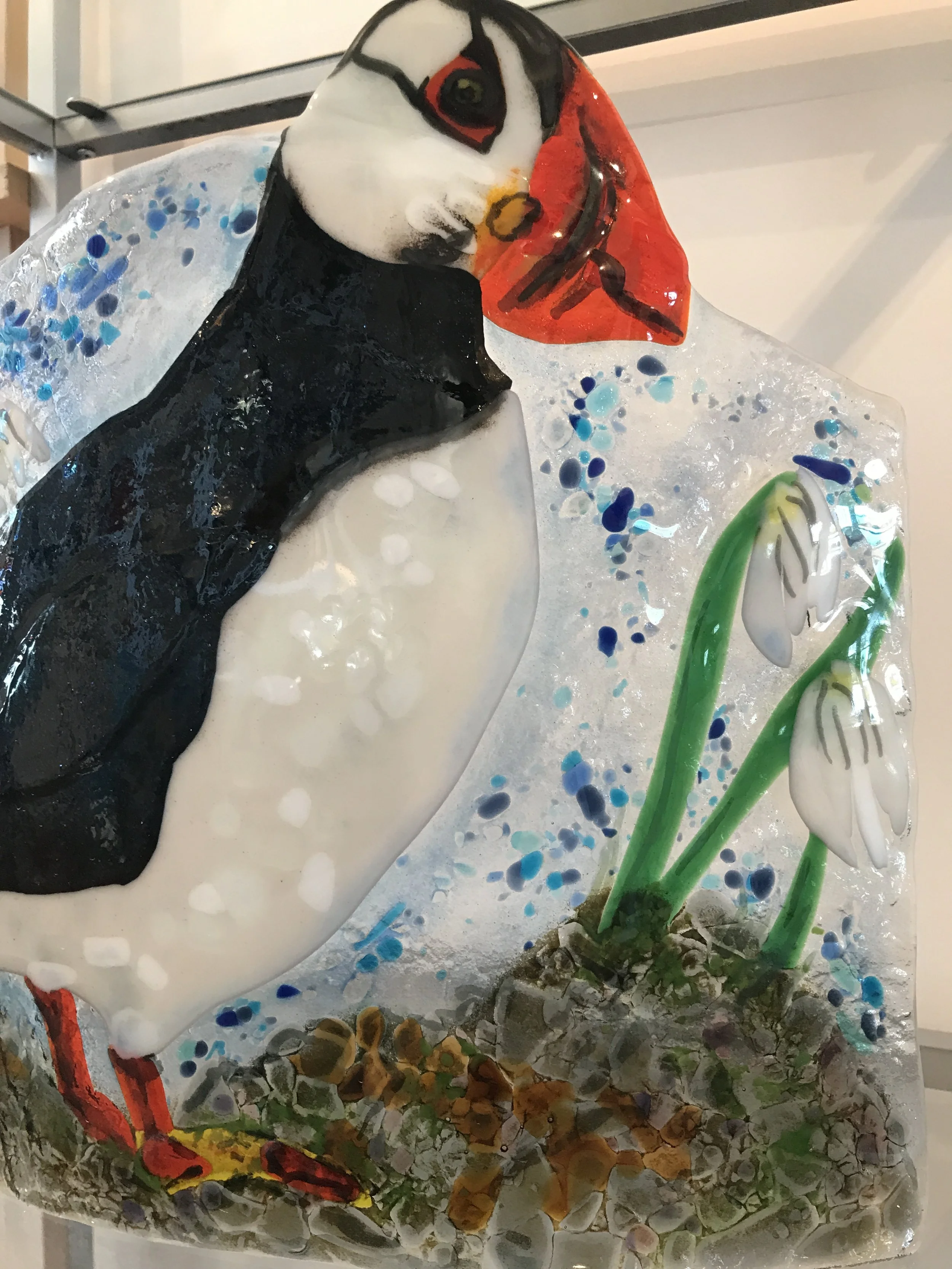 Puffin in the Cotton Grass2.JPG