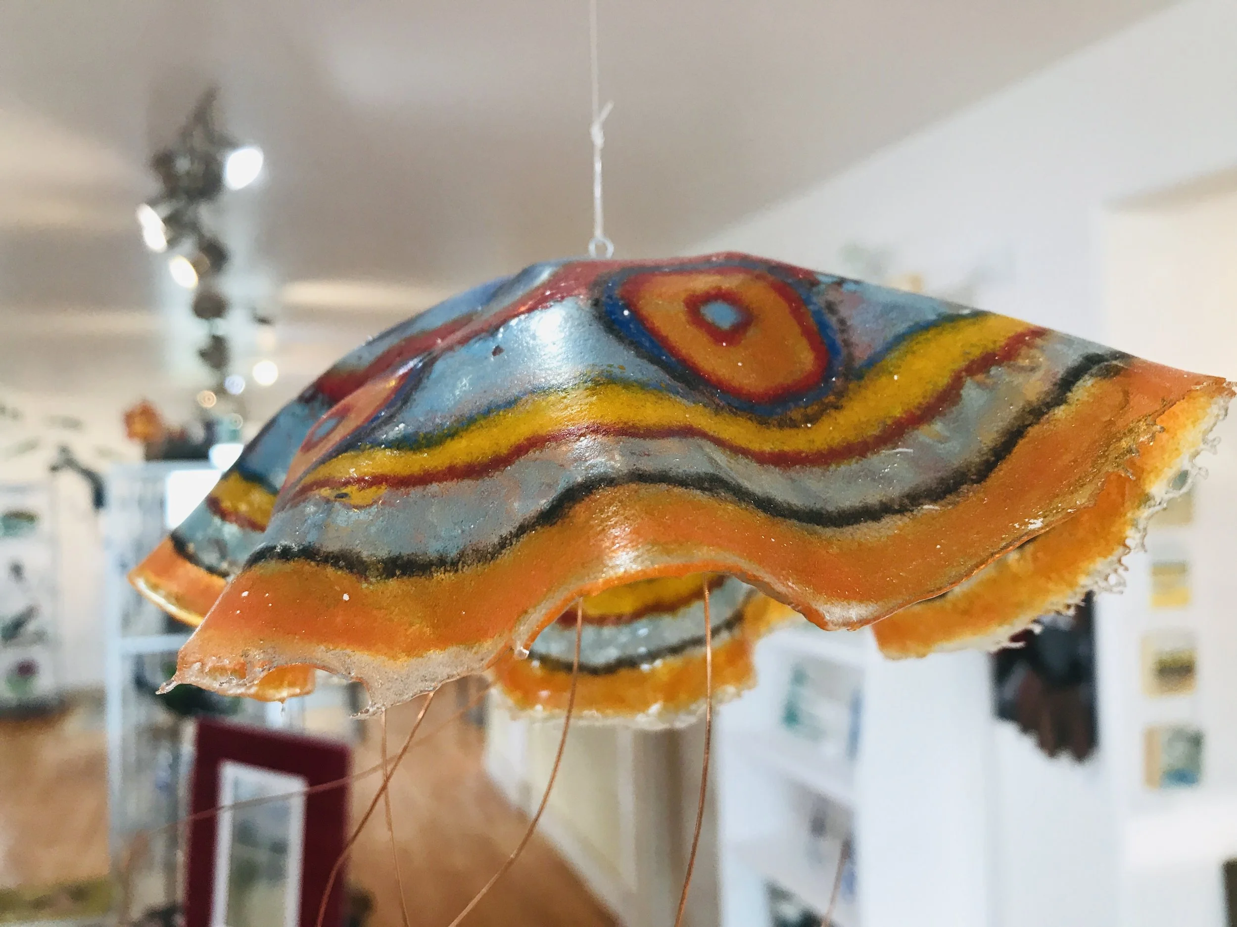 sharkjellies2.JPG