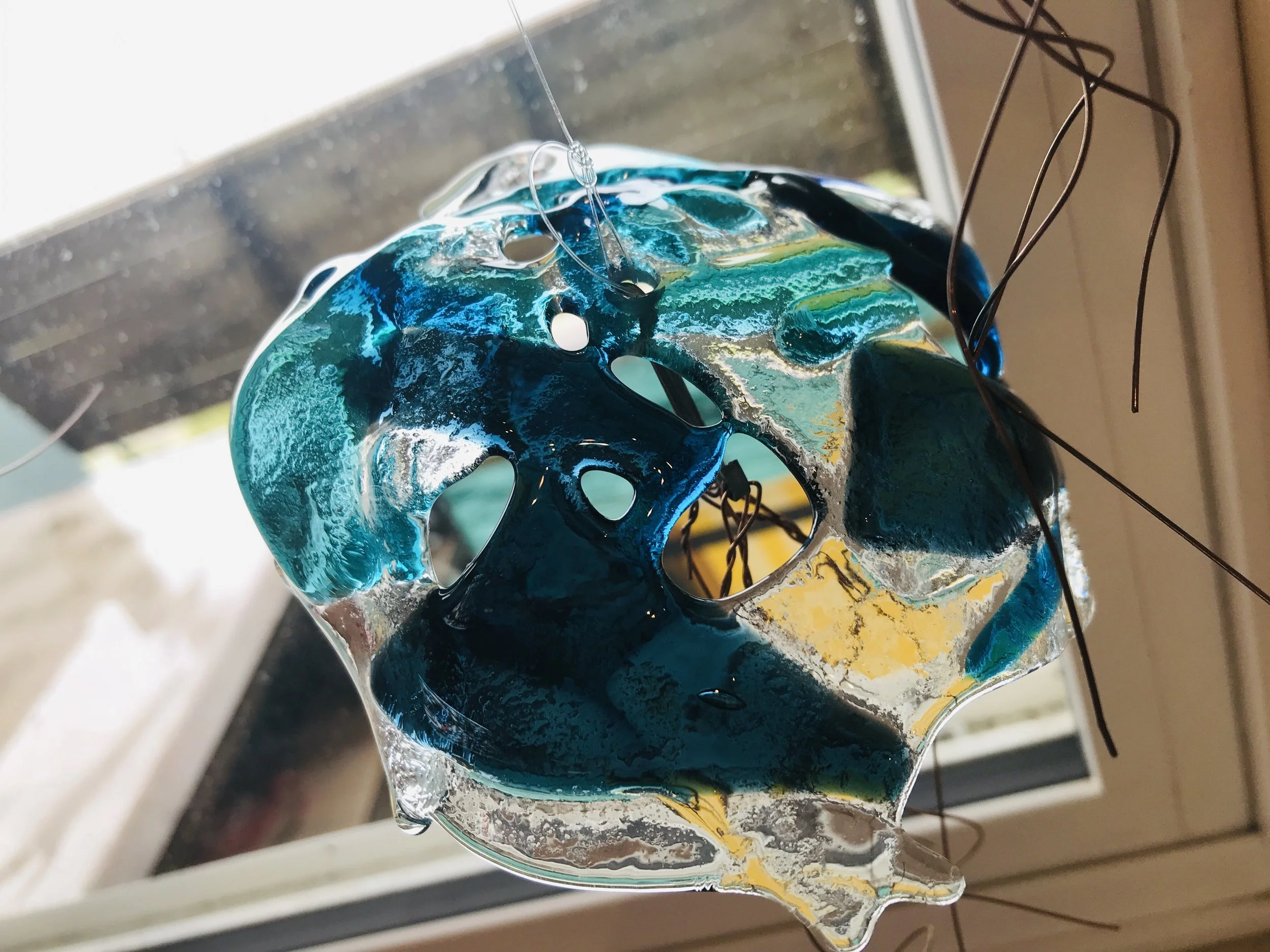 jellyfish5.JPG