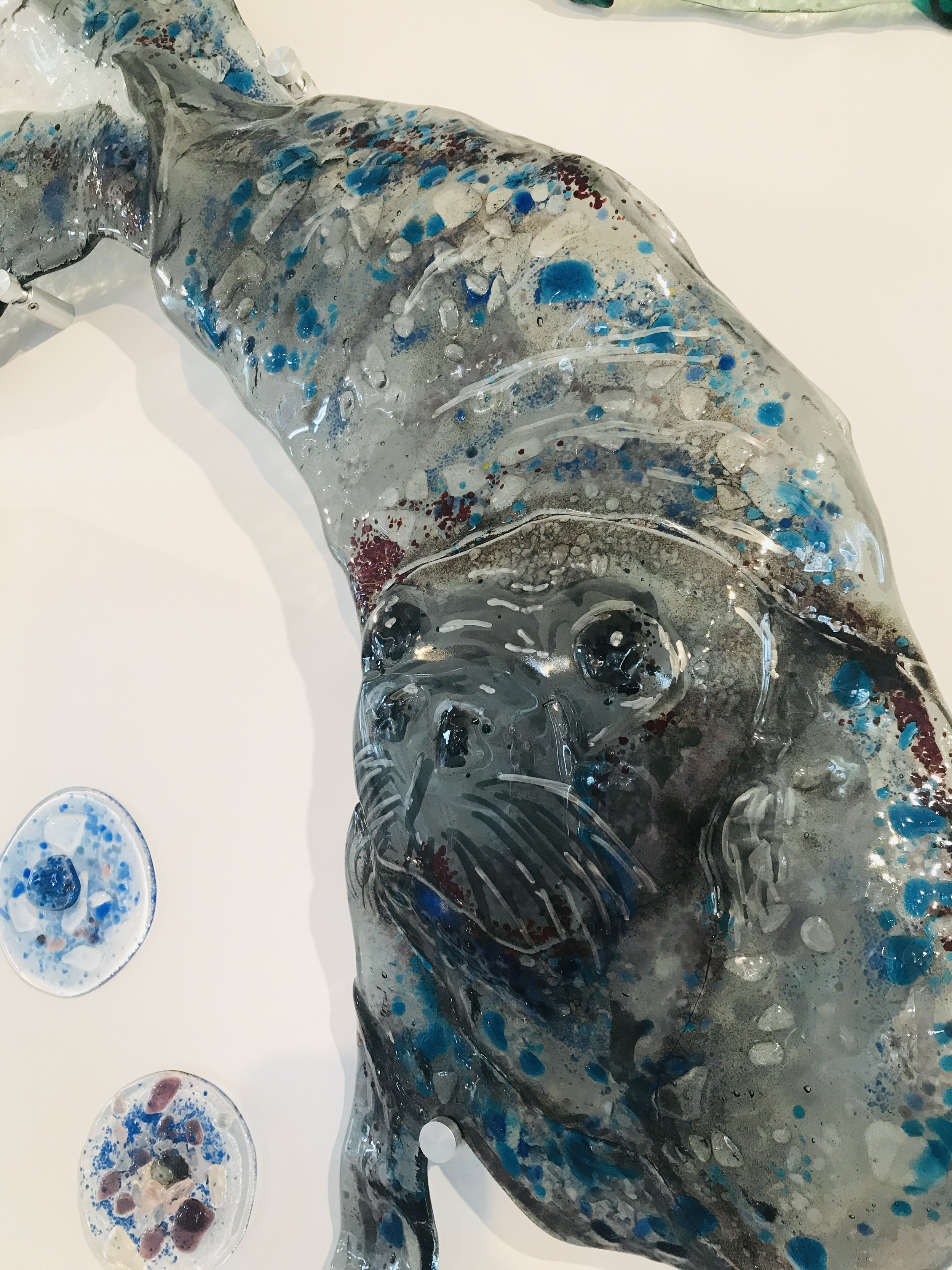 seal3.JPG