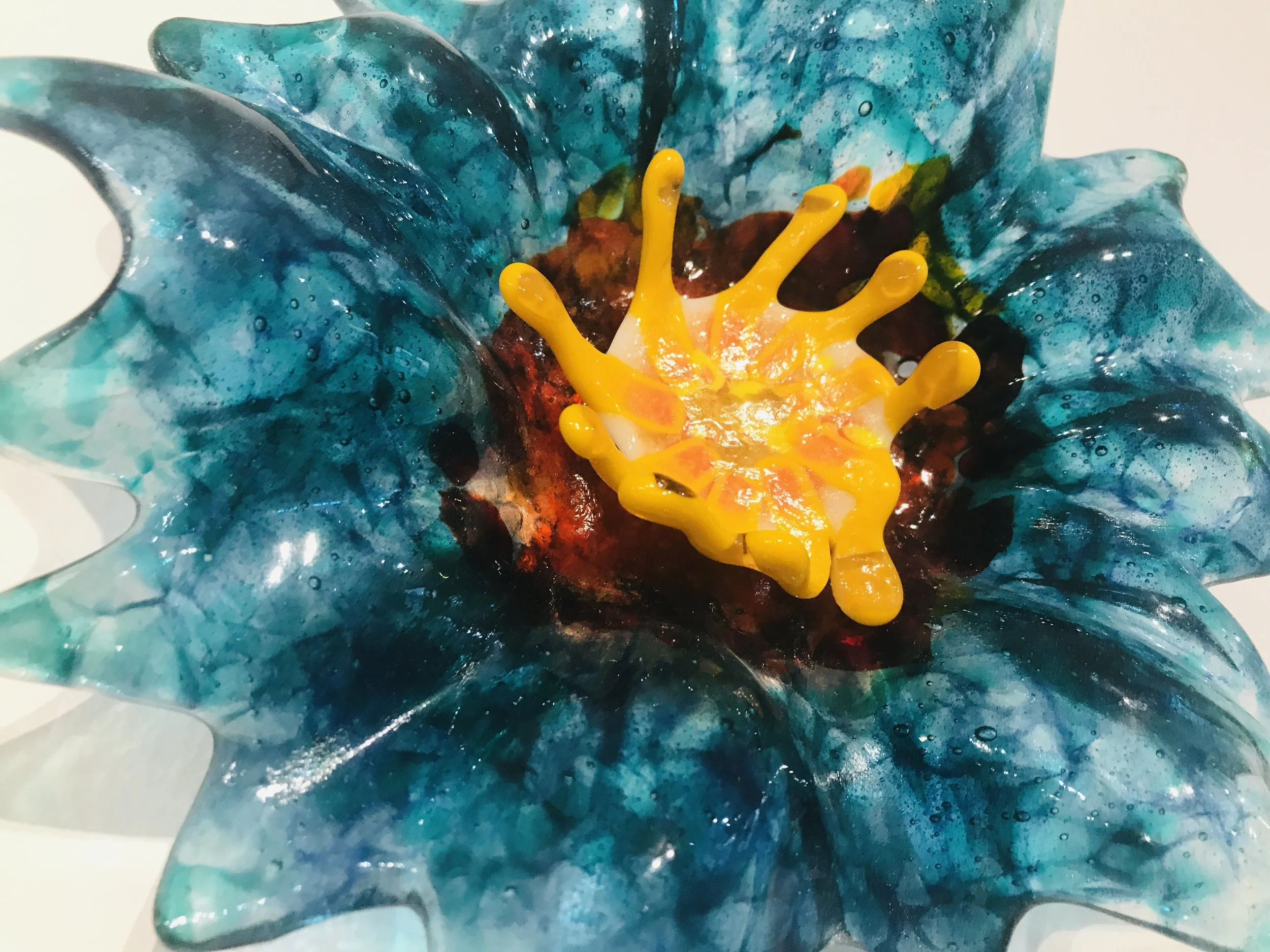 turquoisebloom.JPG
