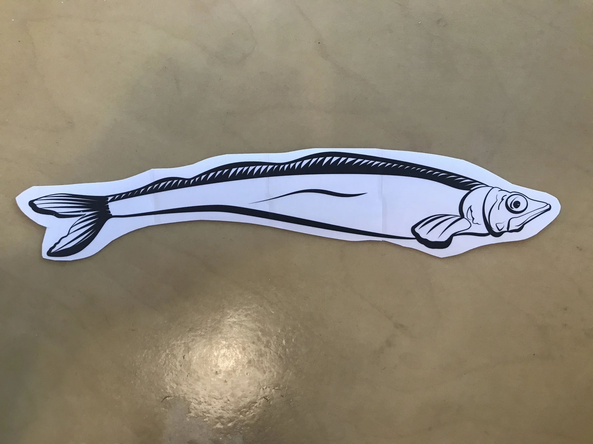 Capelin 3