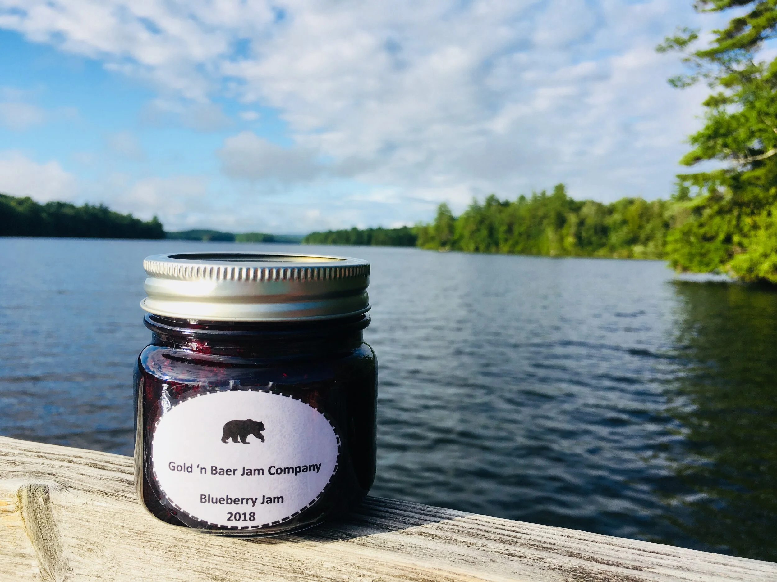 Watching the Snow, Thinking of Summer