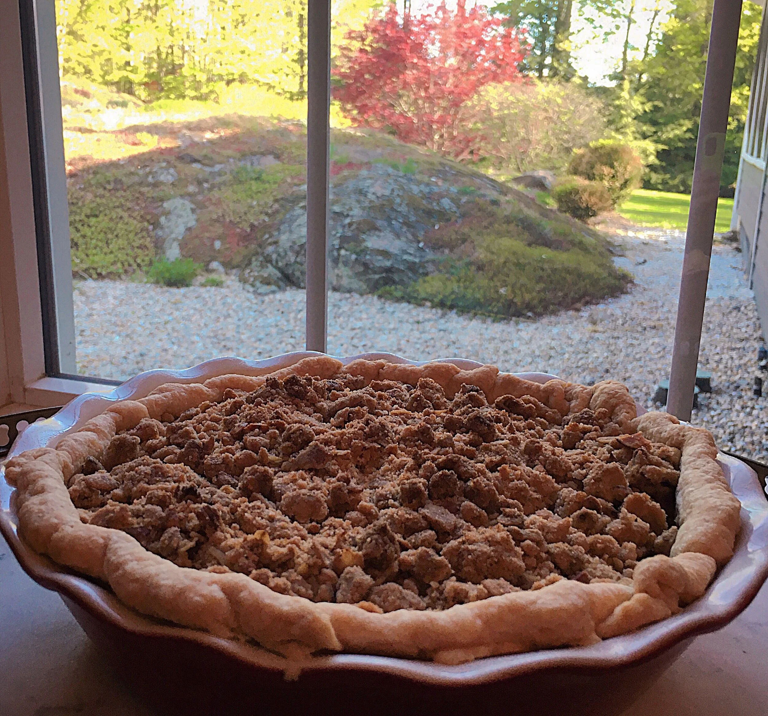 Blueberry-Rhubarb Crumb Pie, or How One Recipe Begets Another