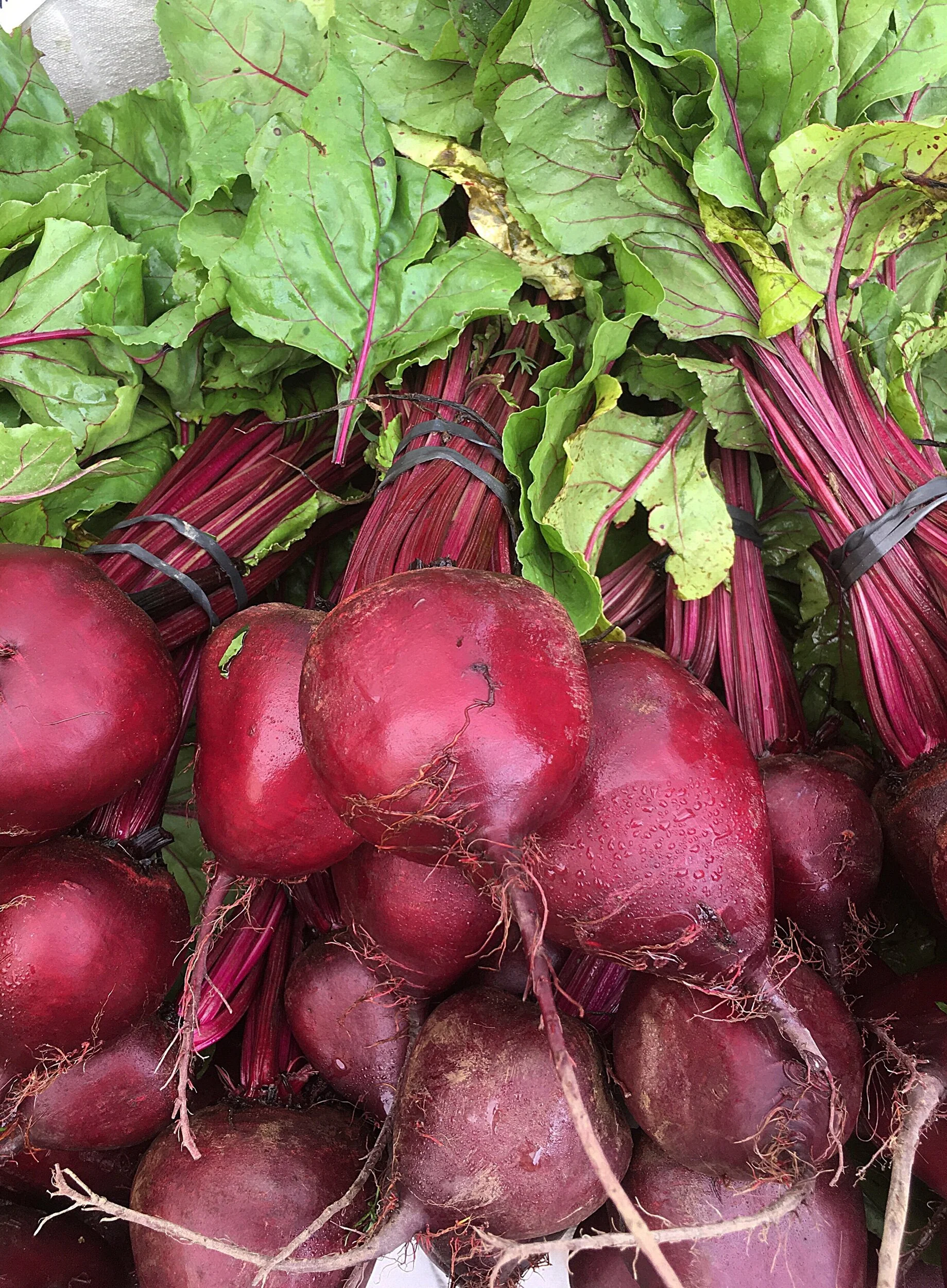Berkshire Eagle Column: The Beet Goes On