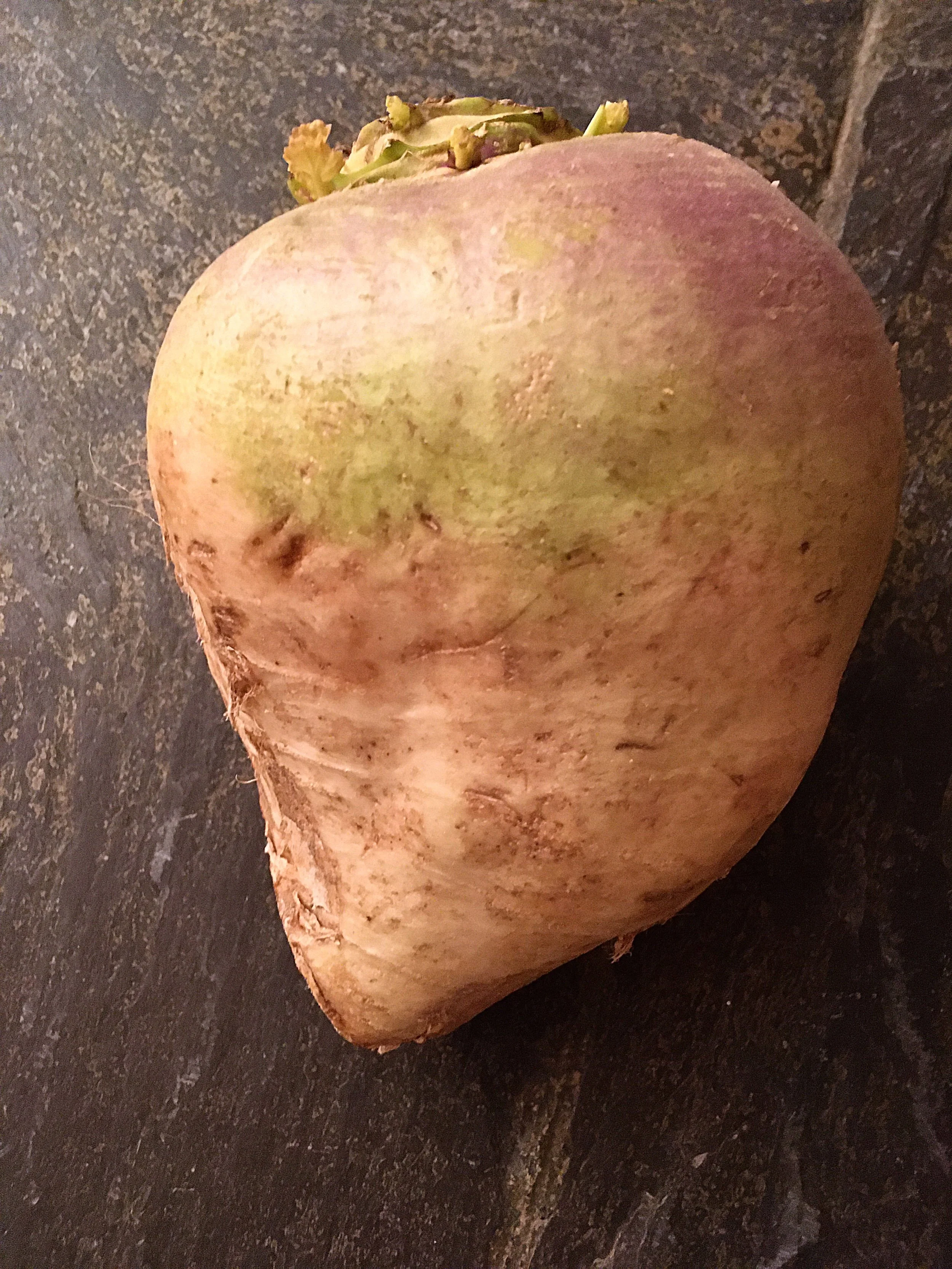 Berkshire Eagle Column: Cape Cod Turnips
