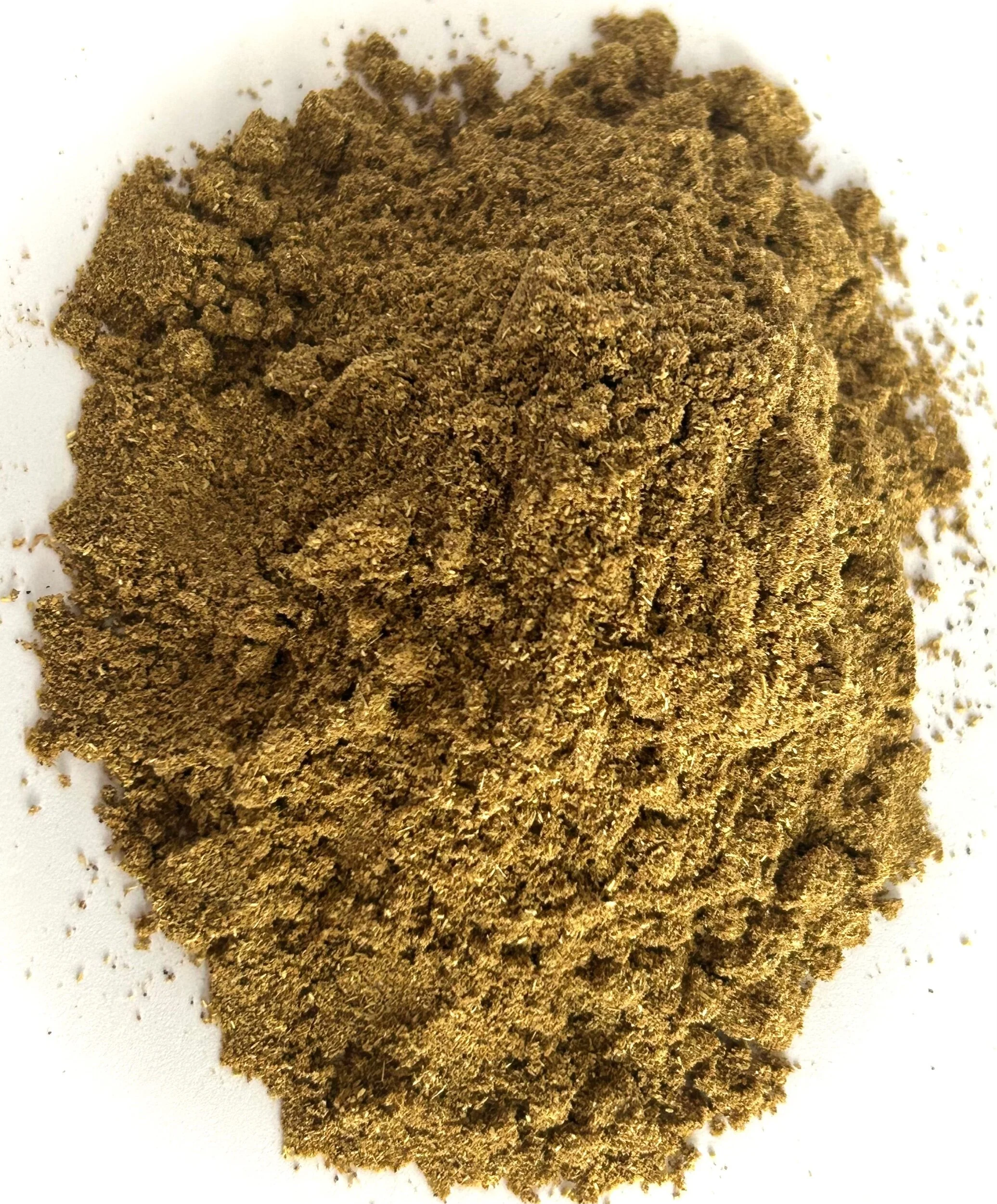 54E1F77F-217C-4283-A3E3-4161ACD4B94A