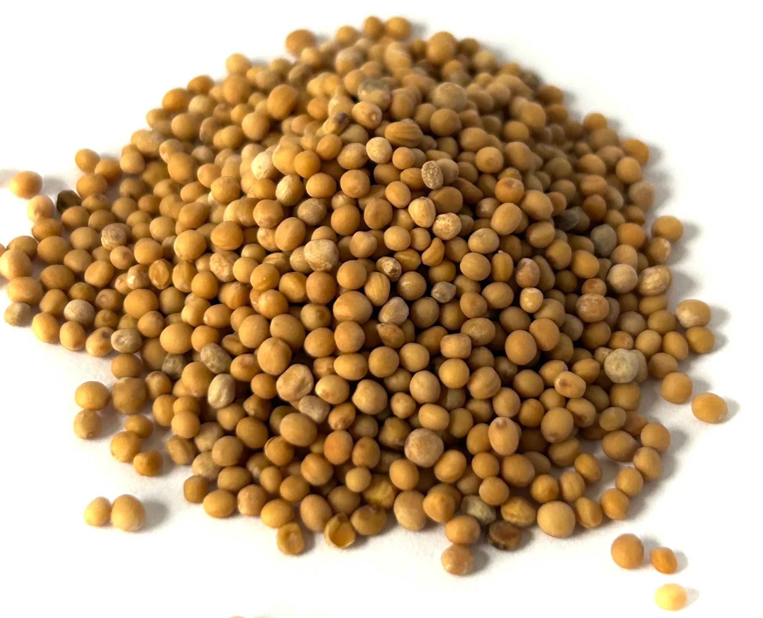 529B2CCB-432E-424F-A925-C025193C8D10