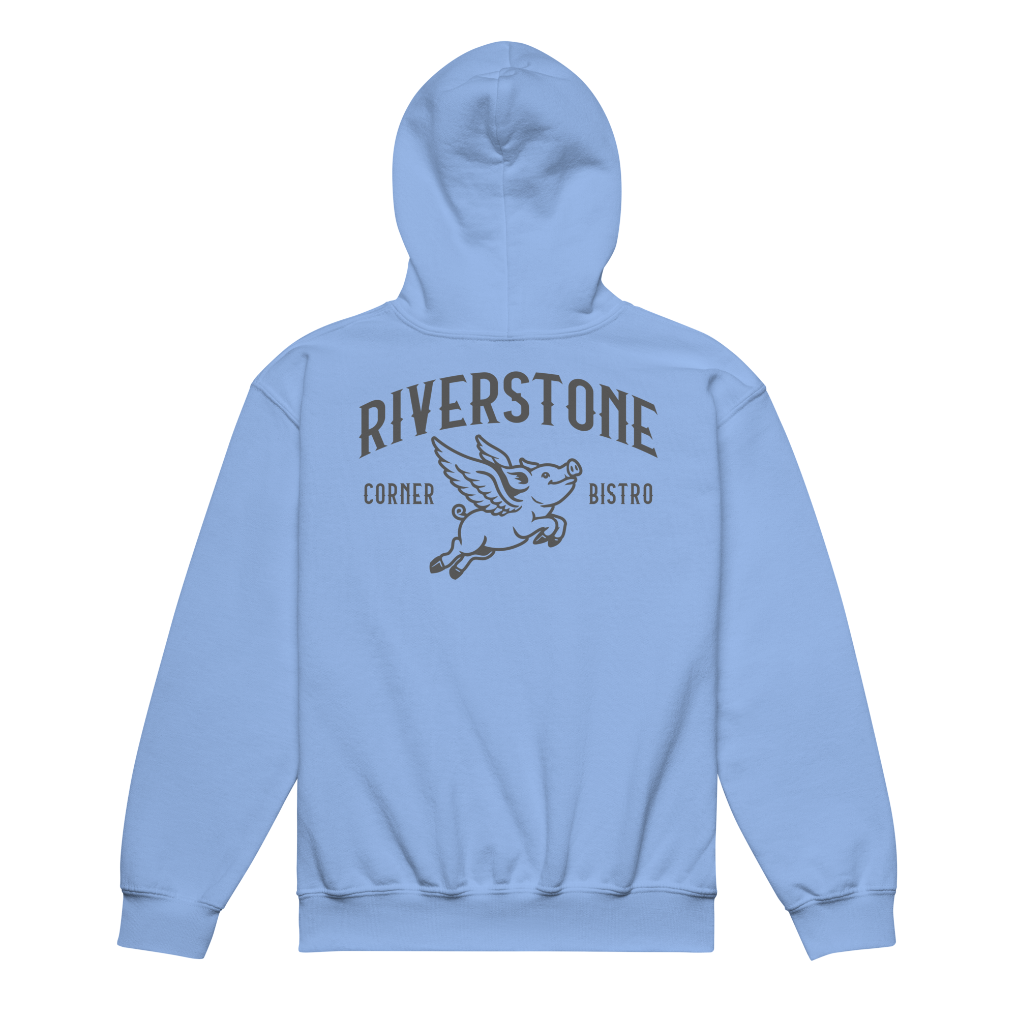 youth-heavy-blend-hoodie-carolina-blue-back-6a88d697235a1.png