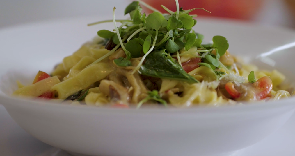 TAGLIATELLE PASTA WITH OYSTER MUSHROOM CREAM SAUCE-CHEF RASHTY 