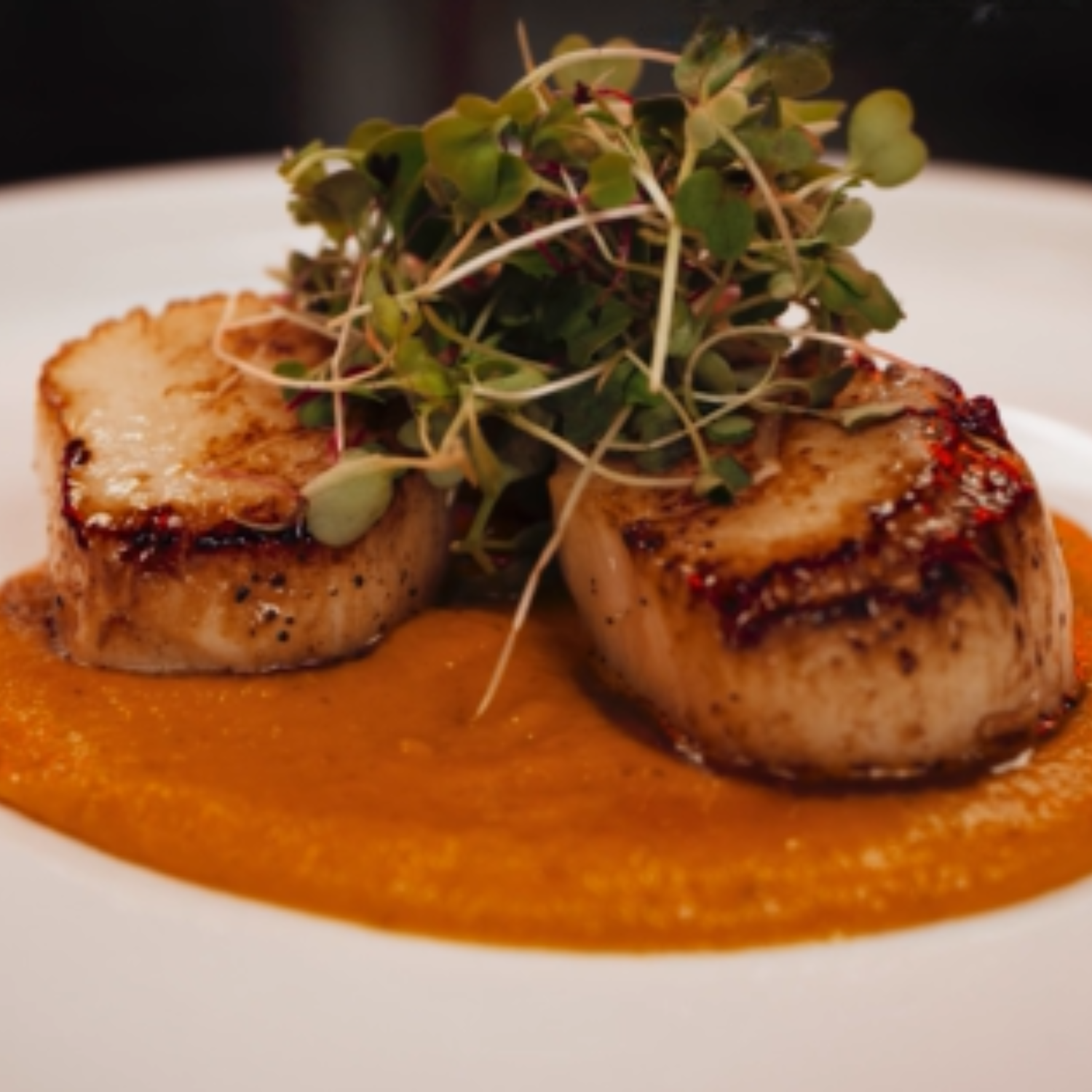 PAN-SEARED CEDAR KEY SCALLOPS 