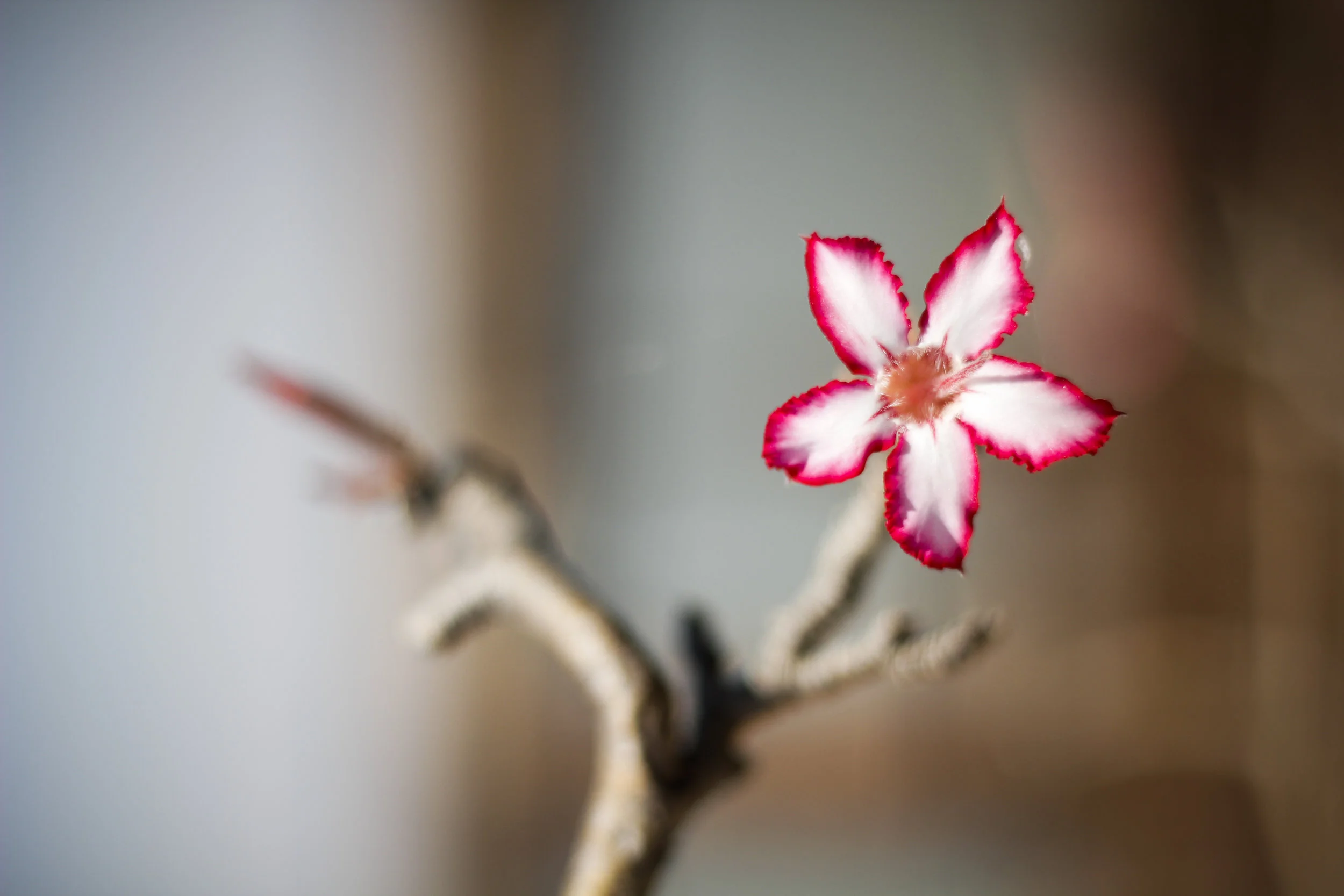 Zim_373 11.08.48 AM.JPG