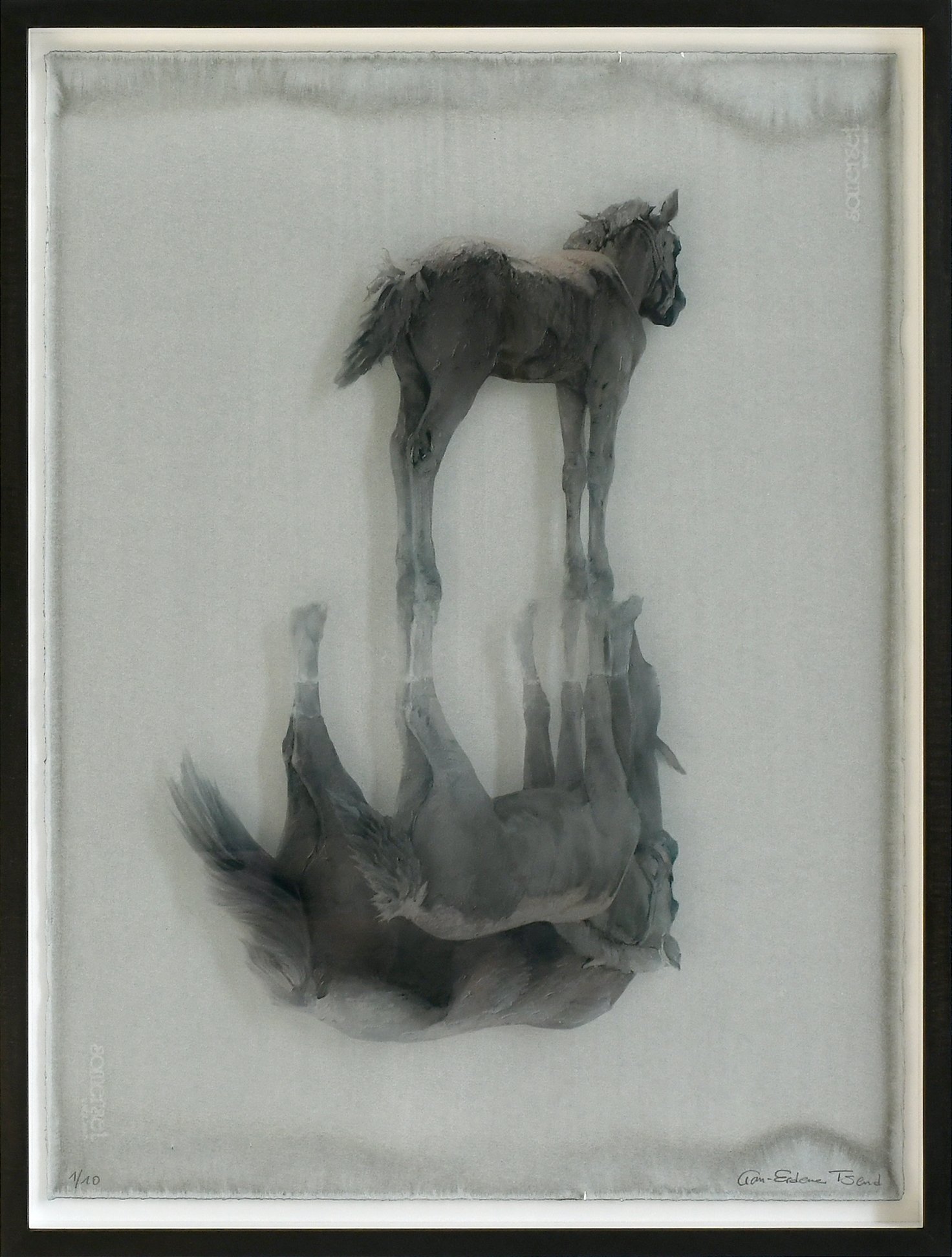 Urpferd, 2023, 80x60 cm, Mischtechnik auf Mirogard Glas und Büttenpapier.jpg