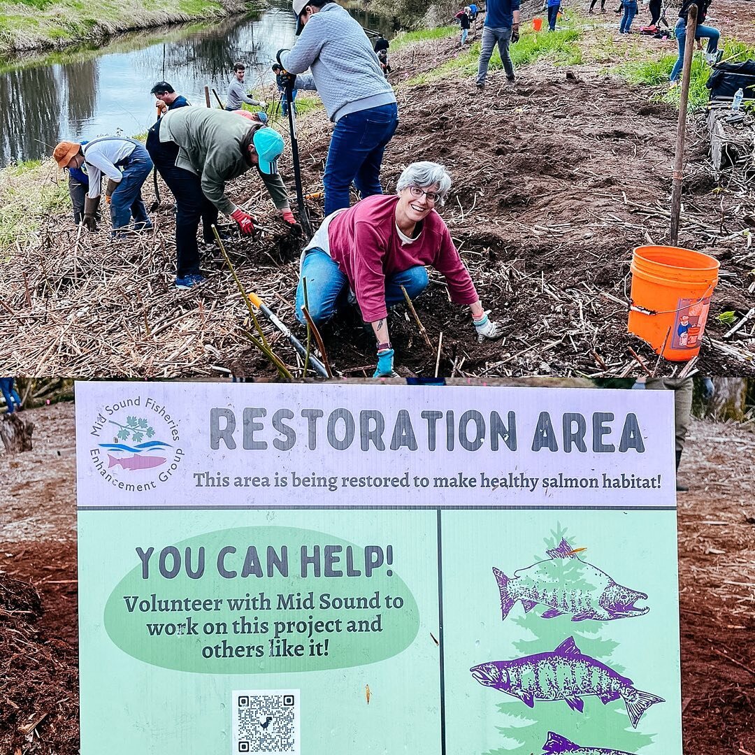 S E A T T L E
Earth Month Recap

Thank you to the volunteers helping to restore this salmon habitat. Keep your eyes out for more Green Wings events happening in the Seattle area!