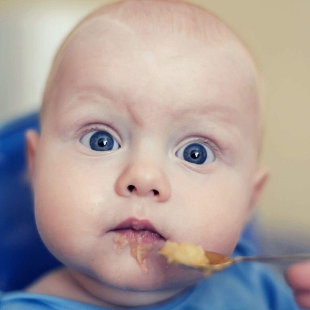 10 Great Instant Pot Hacks for New Parents! Family Tree Doula