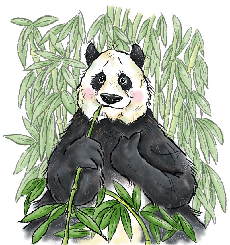 Bamboo and Panda Poo — The National Poo Musuem