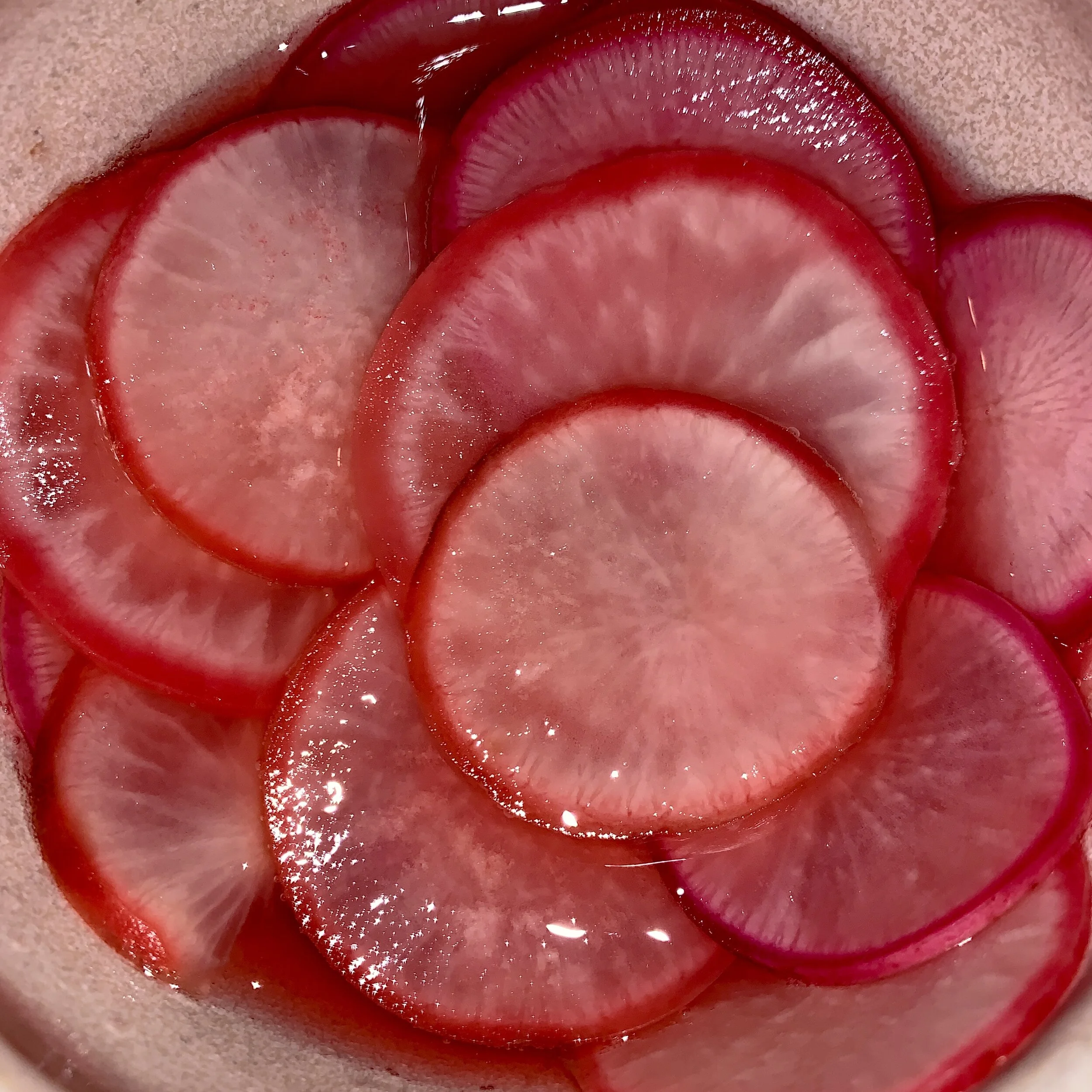 Pickled Radishes