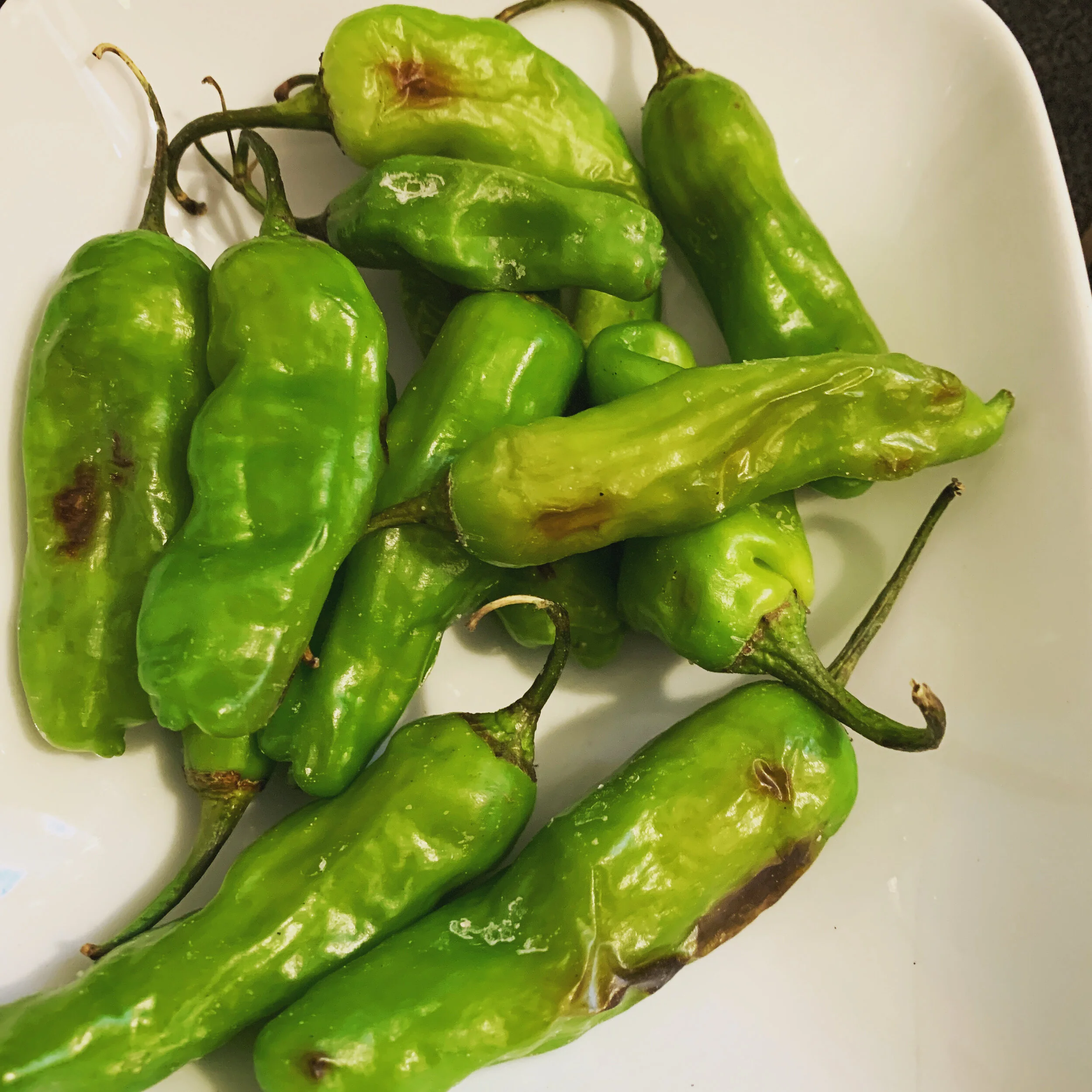 Blistered Shishito Peppers