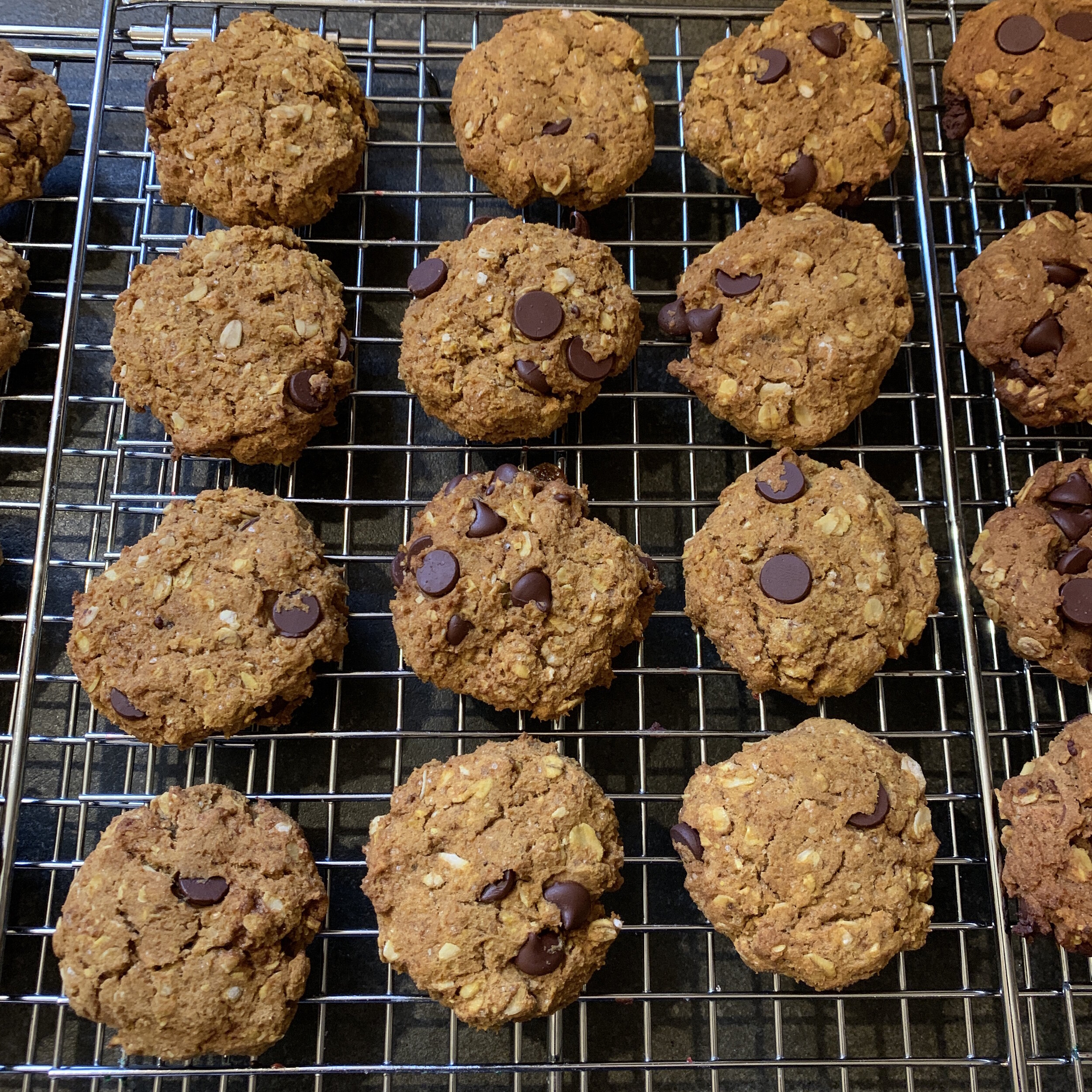 Pumpkin Oatmeal Chocolate Chip Cookies