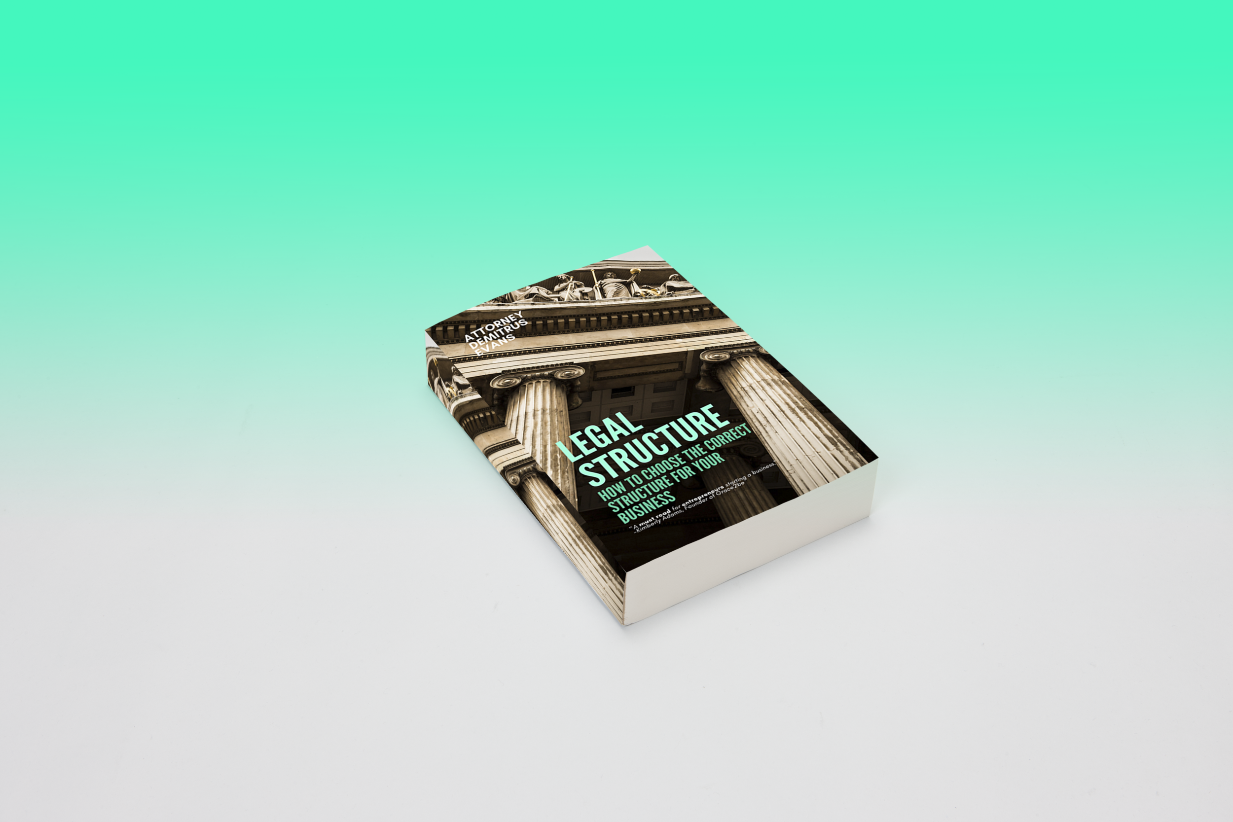 LEGAL STRUCTURE BOOK MOCKUP copy.png