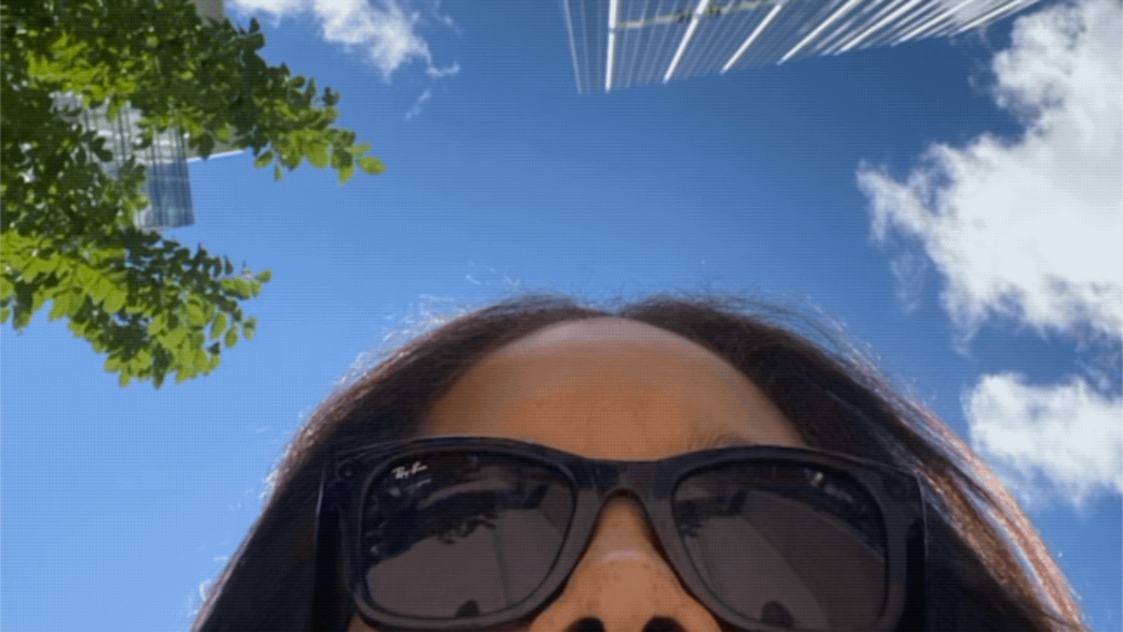 Untitled_Artwork 3.gif