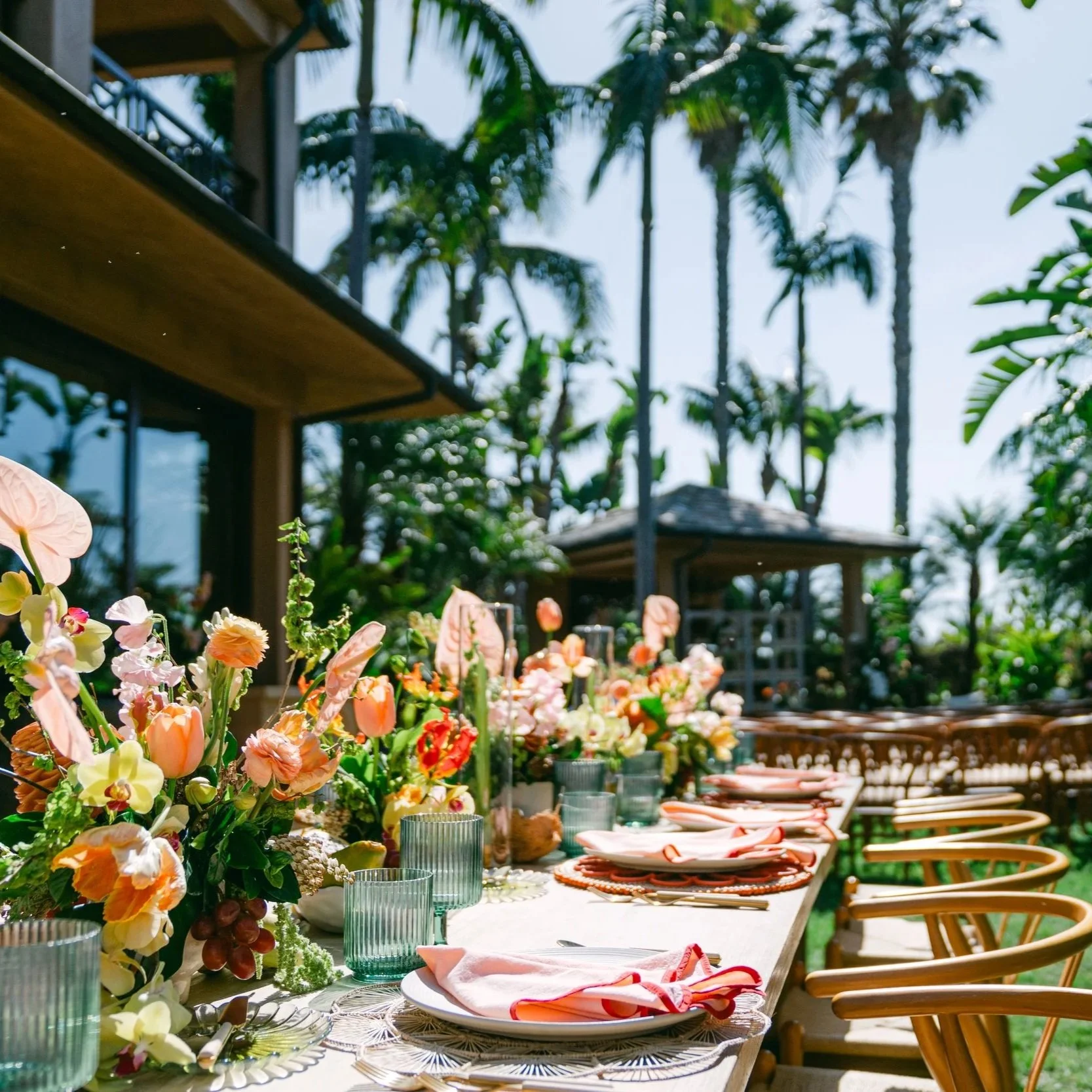 An Exclusive Look at the Magic We Create at Coastal Palms