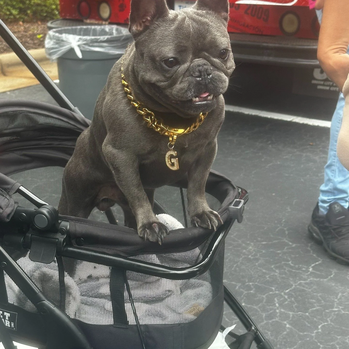 Did you know you can bring your well behaved, so cute we can't stand it furbaby to the Brier Creek Spring Food Truck Festival? You can, they can join you for great food from over 50 food trucks, good music and good times!

Insider Tip: Stop by the te