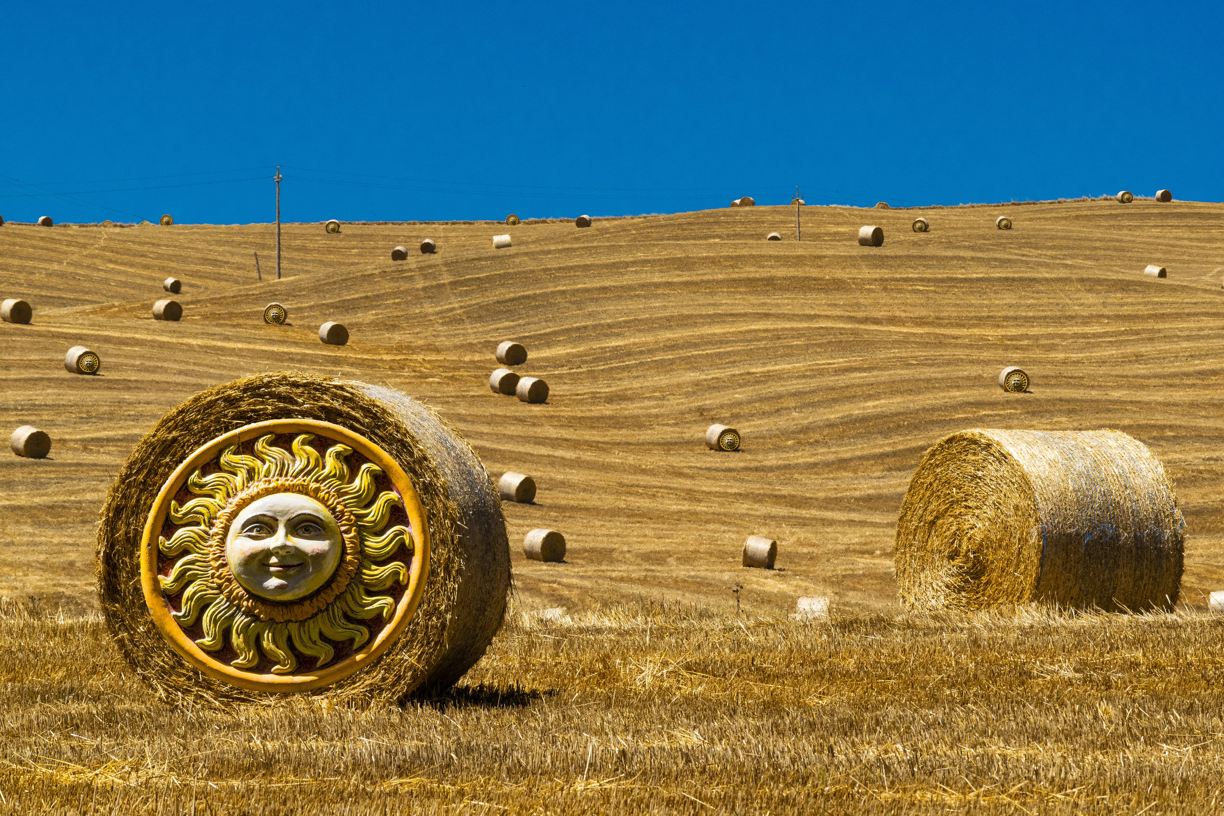 Wheat and Sun.jpg