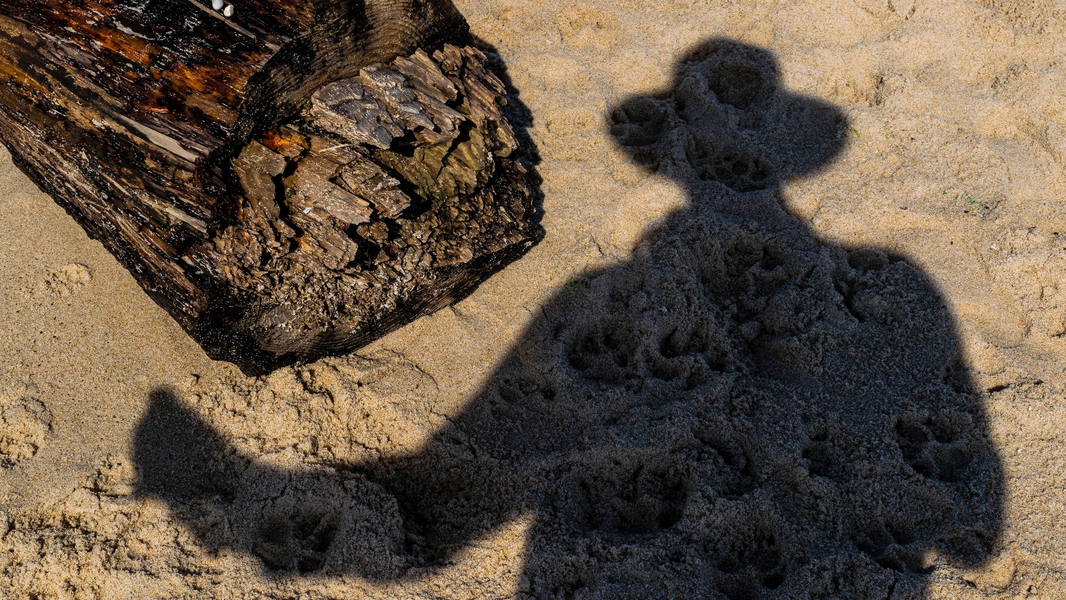 DSchreck%2B_190618_BeachStudy20190615_060.jpg