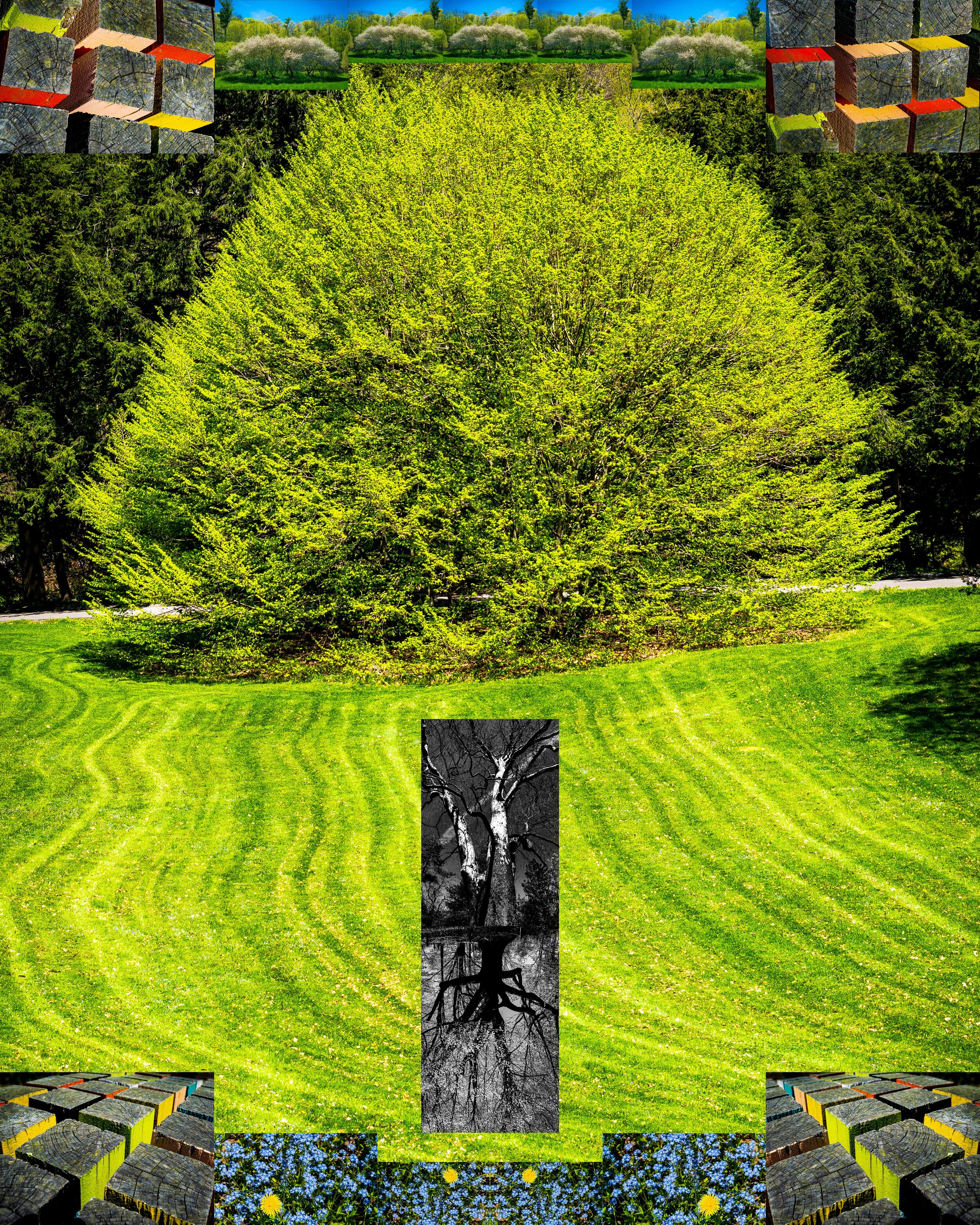 Cornell Arboretum Collage.jpg