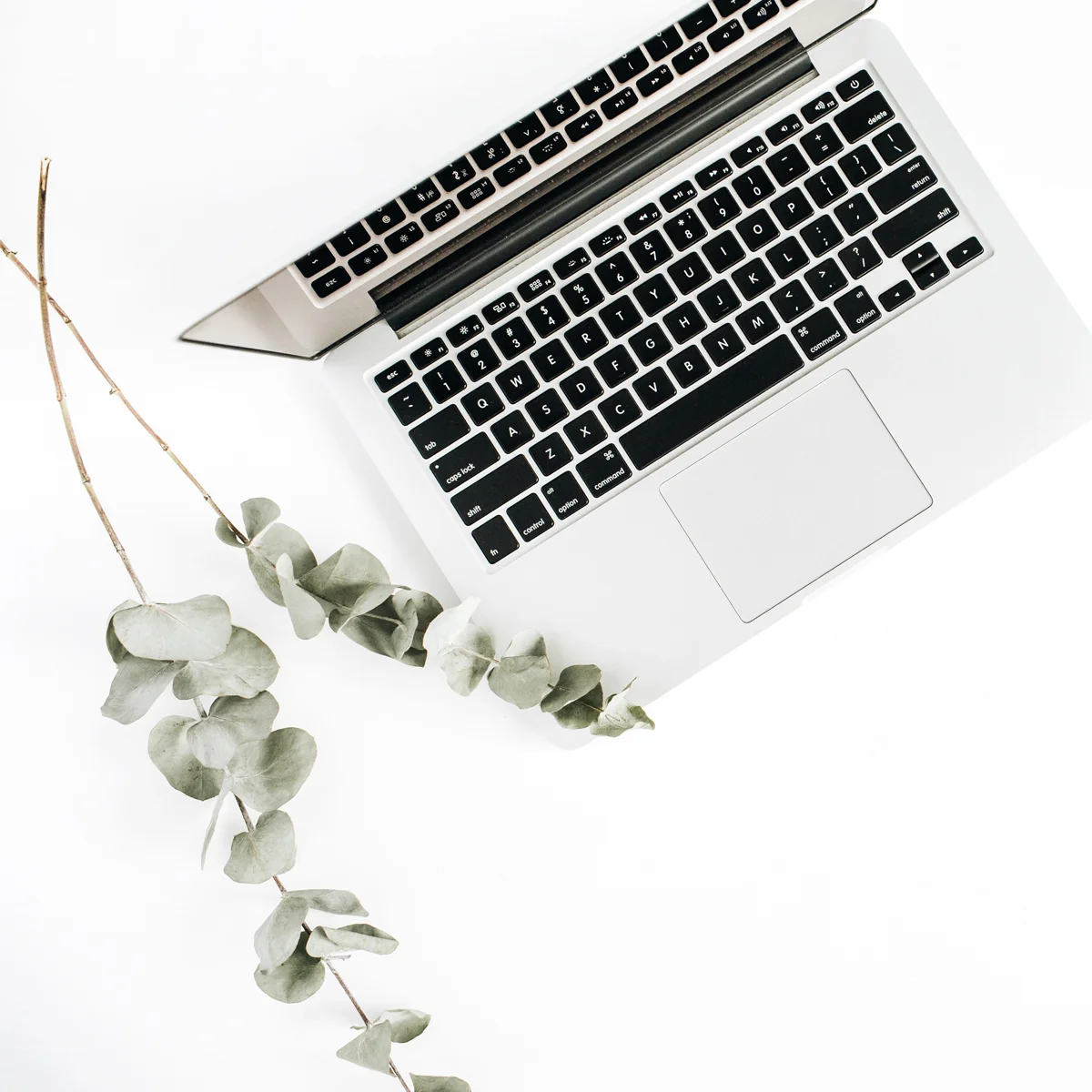 2018… A Year in Review - Part 1: Gratitude