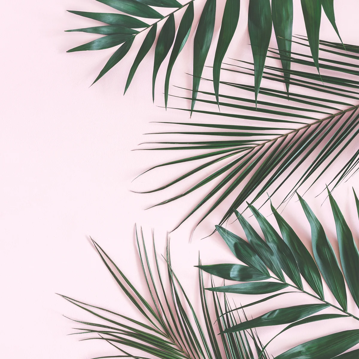 Confessions of a Mompreneur (Ep. 12) - Being Unprepared