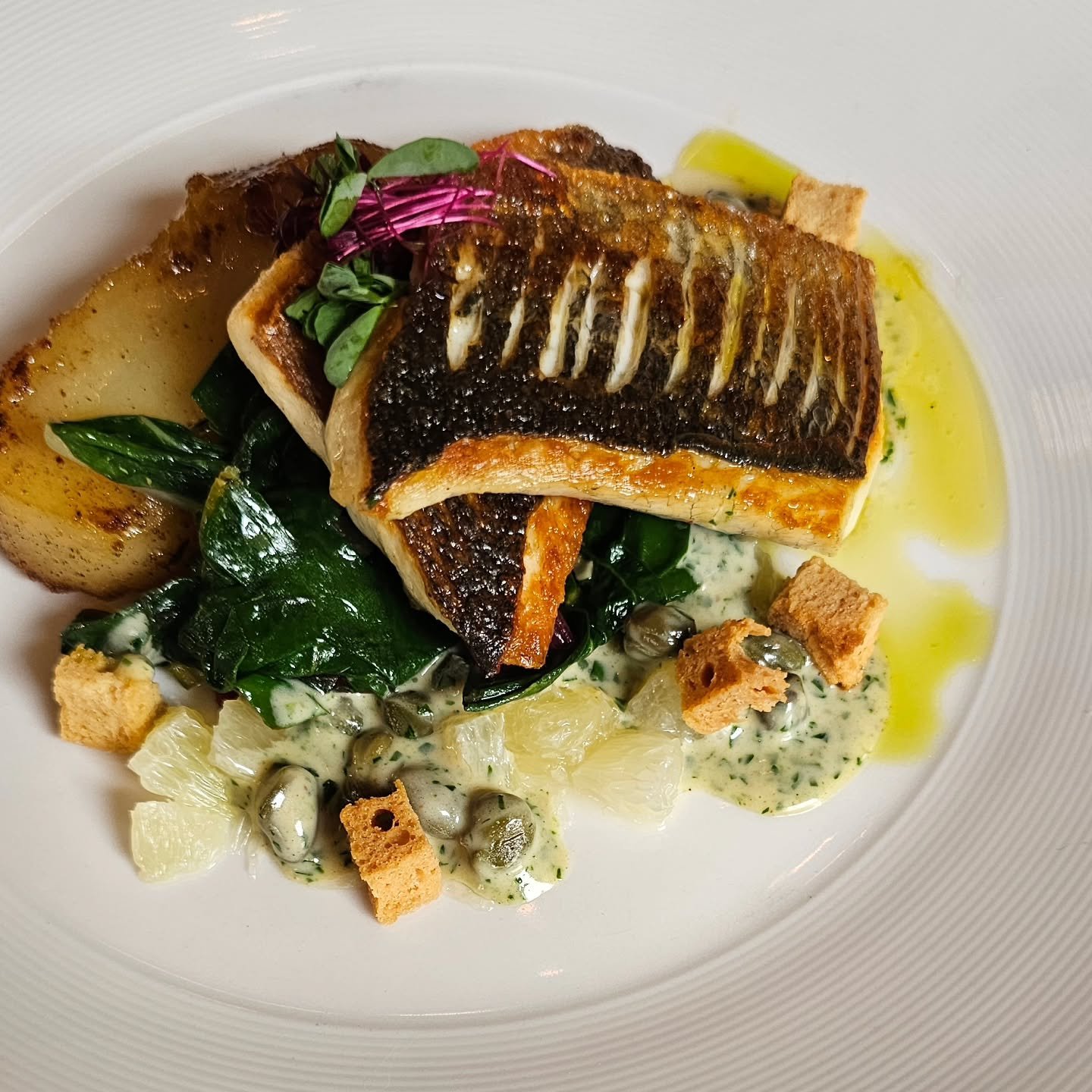 Sea Bream Grenobloise
~Fondant Potato, Swiss Chard

Under the guidance of a professional instruction team, hospitality and culinary arts students put their skills into practice in a live restaurant environment 
.
.
.
.
.
.
.
.
.
.
#thechefshouse #geo