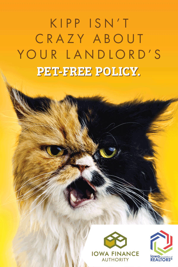 cat_HR2.gif
