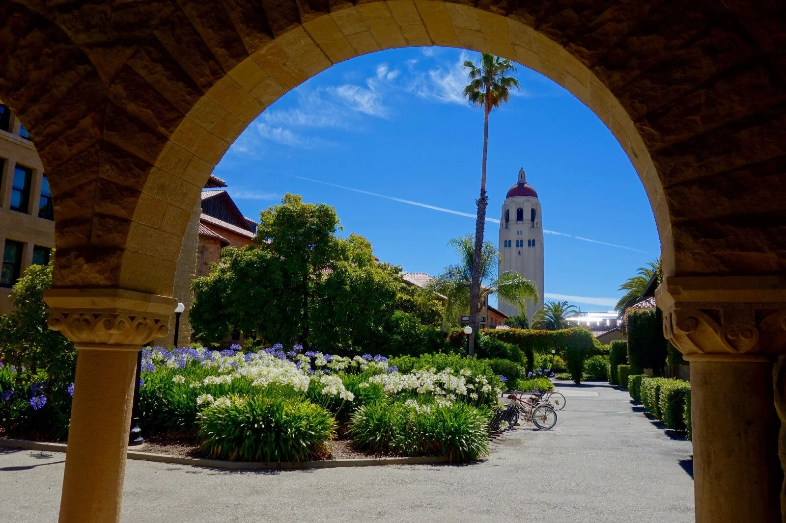 Contact Banner Stanford Arch.jpeg