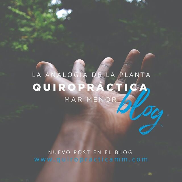 No exageramos si os decimos que esta es la entrada que necesitabais para entender, haciendo uso de una analog&iacute;a... Os esperamos en nuestra web (link directo in bio) 📝💙✨