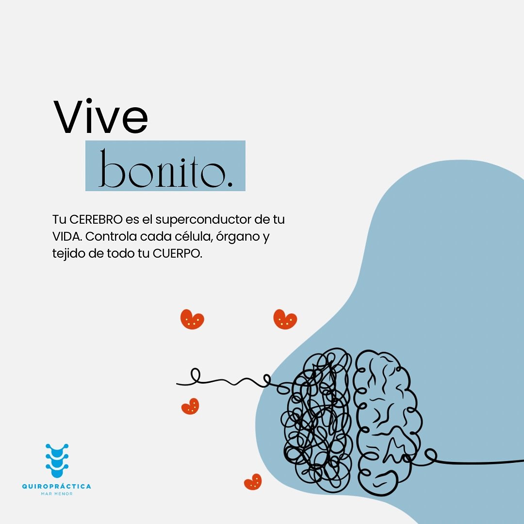 Tu cuerpo tiene la capacidad :
-La capacidad de regularse
-Conectar con los estados de calma
-Poder descansar
-De coordinar y desarrollarse mejor
-De cambiar cuando se necesita
📺 @quiropracticamm
🏢 Av. Artero Guirao, 185 San Pedro del Pinatar