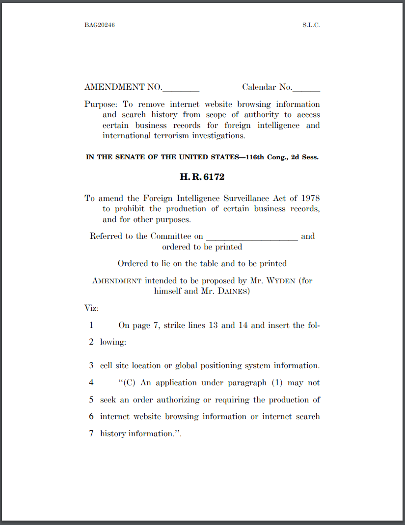 The Daines-Wyden amendment