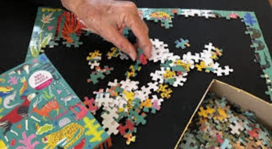 Jigsaw Puzzles