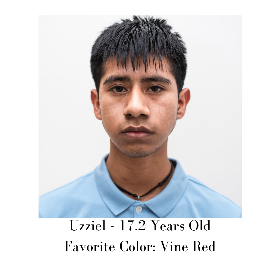 29.png