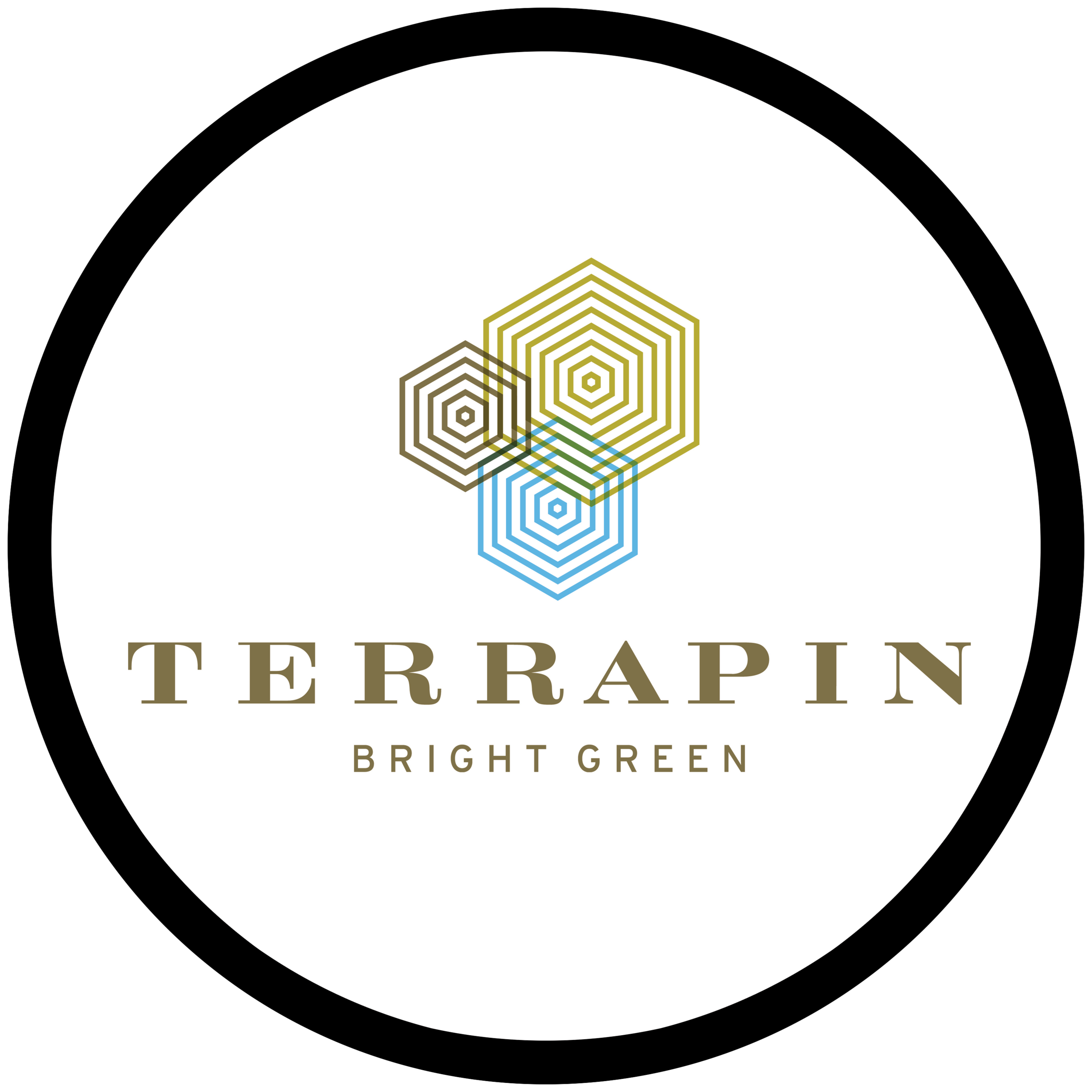 Terrapin Bright Green