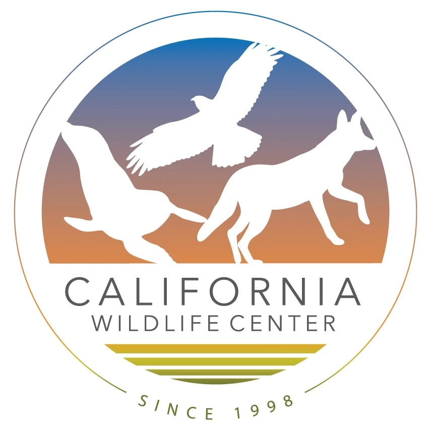 California Wildlife Center