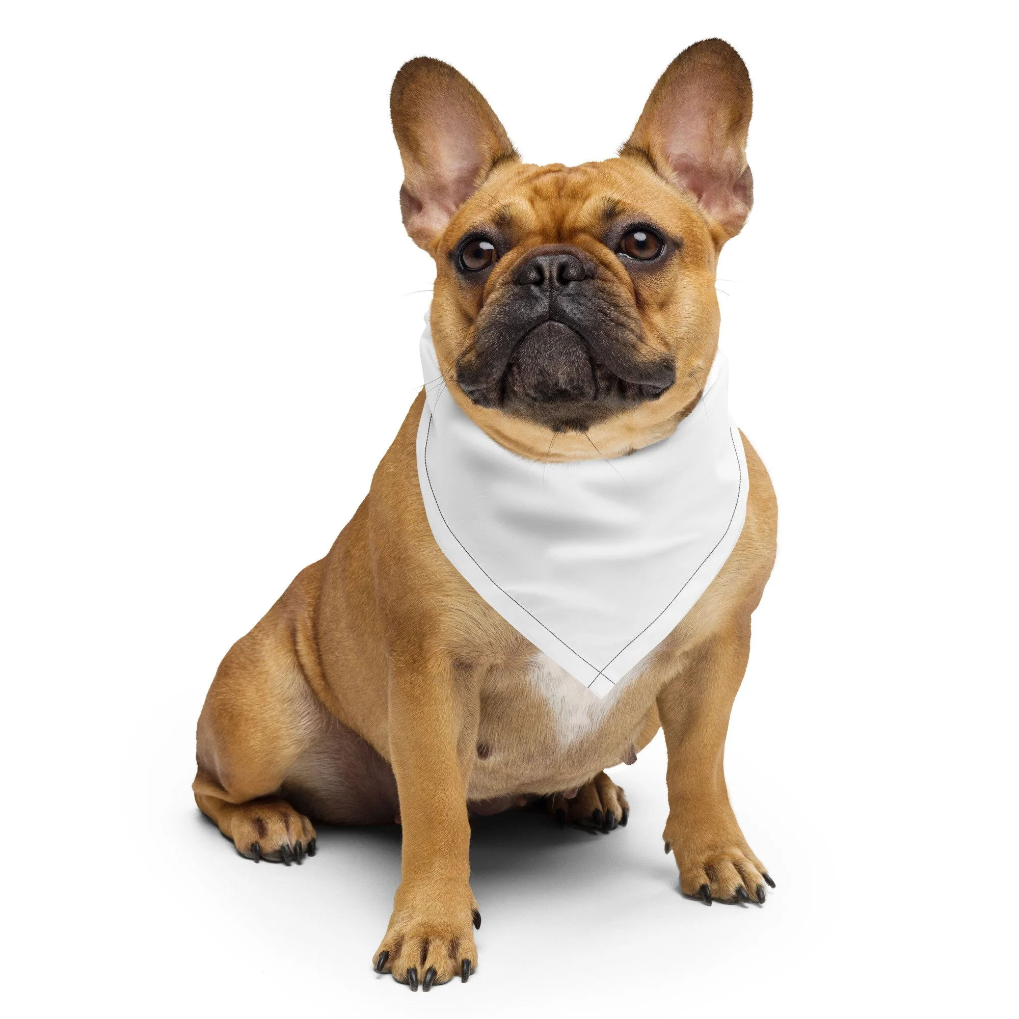 all-over-print-bandana-white-s-front-69e5598ac05c4.jpg