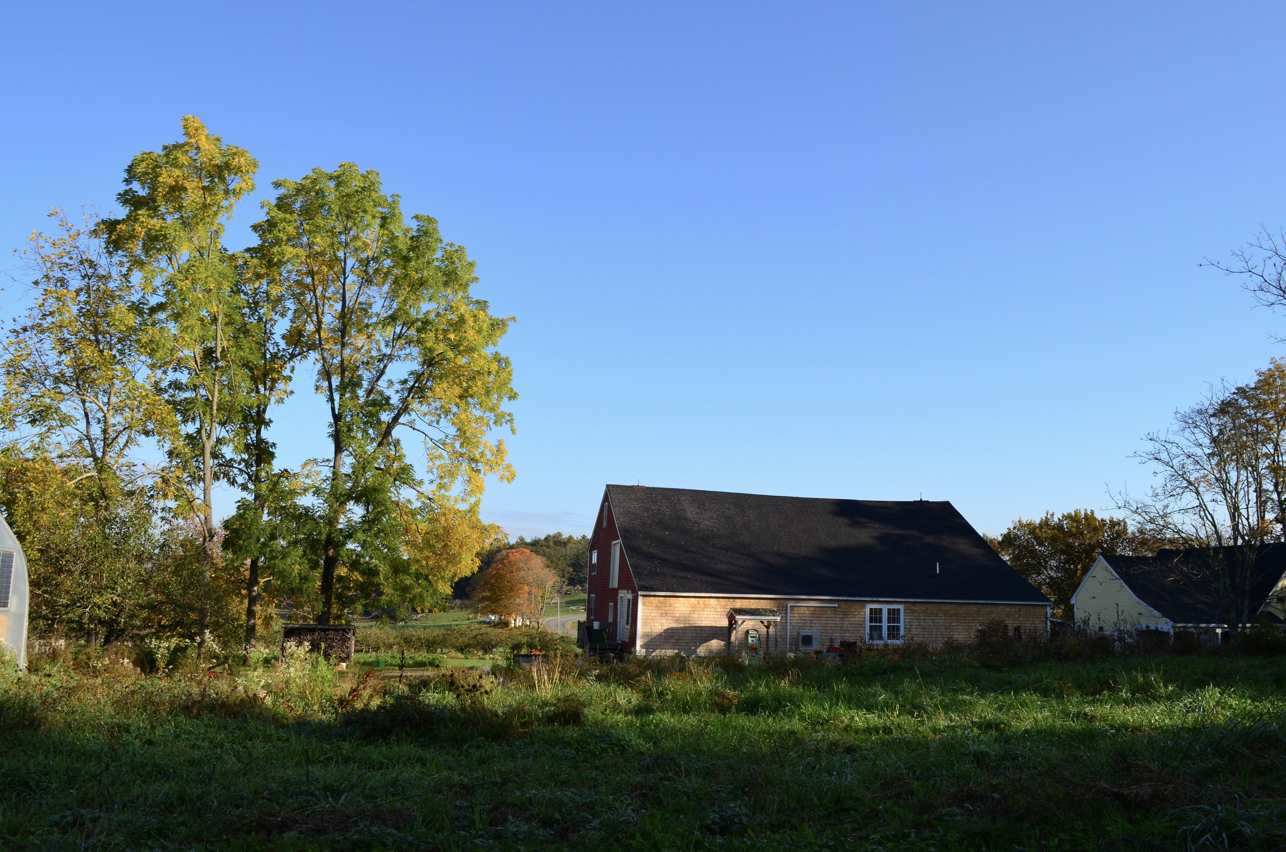 DSC_1621.jpg