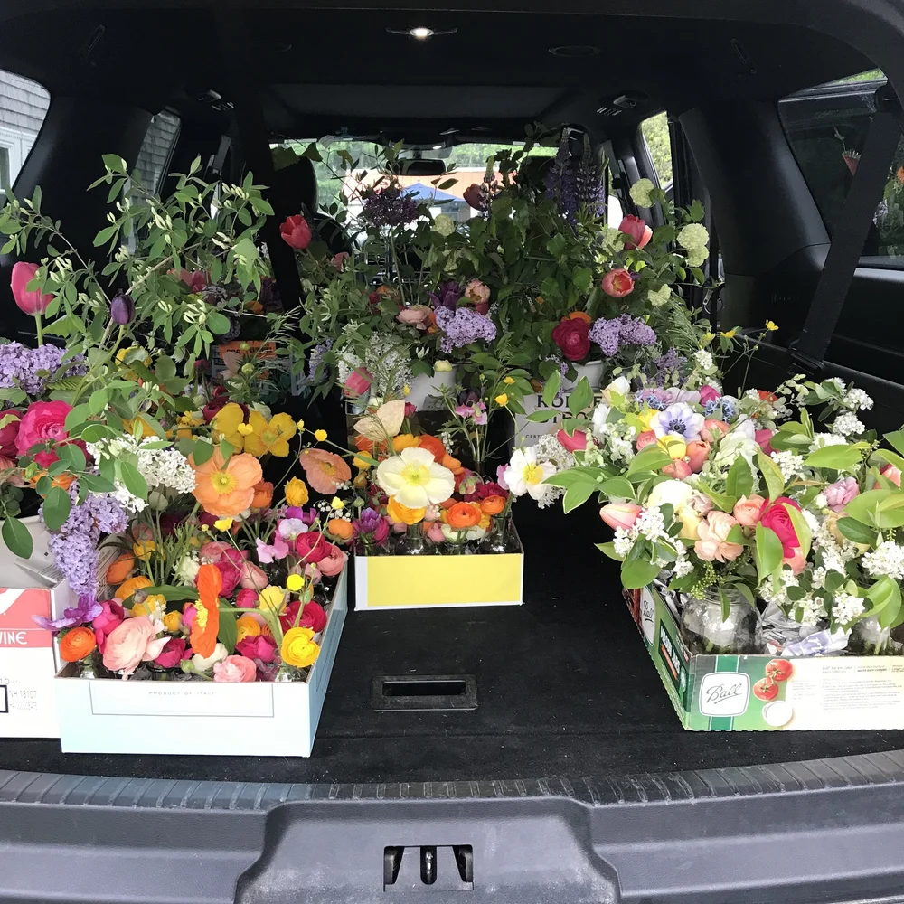 PHOTO: LEE CLINE, FOX HOLLOW FLOWERS