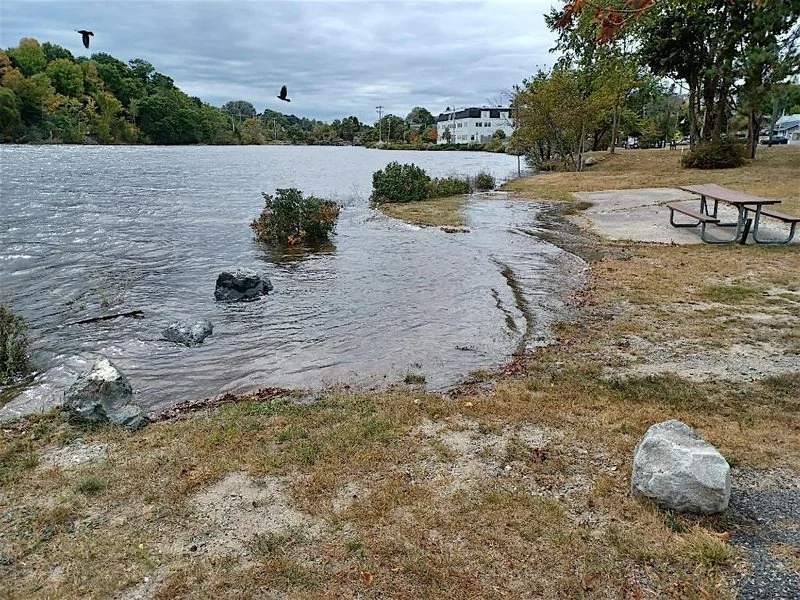 Reflect on This Season's High-Tide Flooding and Community Science • Gulf of Maine Research Institute