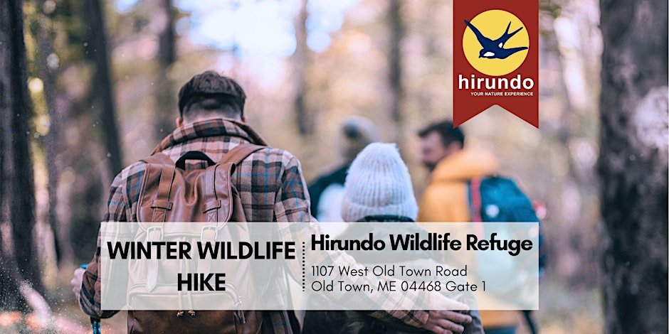 Winter Wildlife Hike • Hirundo Wildlife Refuge